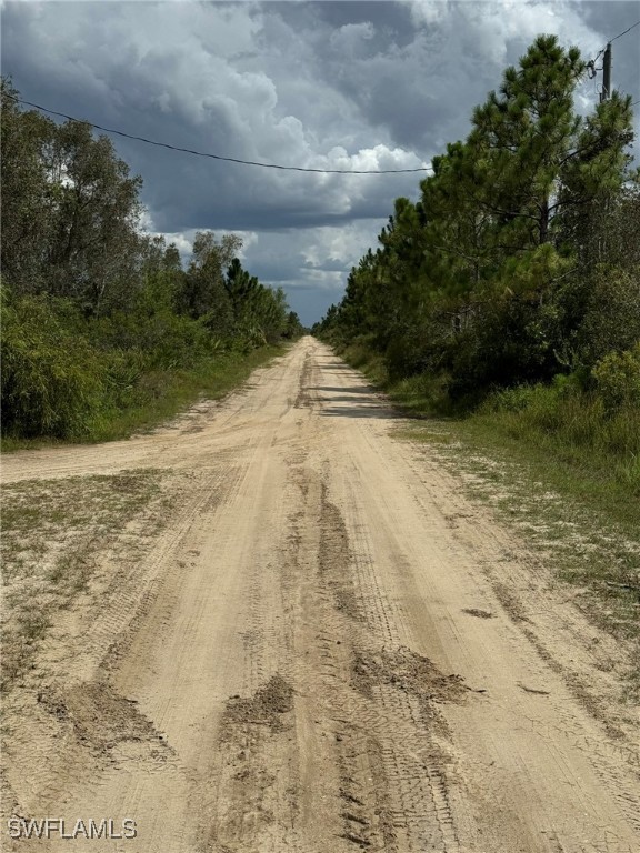 50044 Bermont Road Punta Gorda, FL 33982 - Photo 14 of 19 a view of a yard with plants and trees