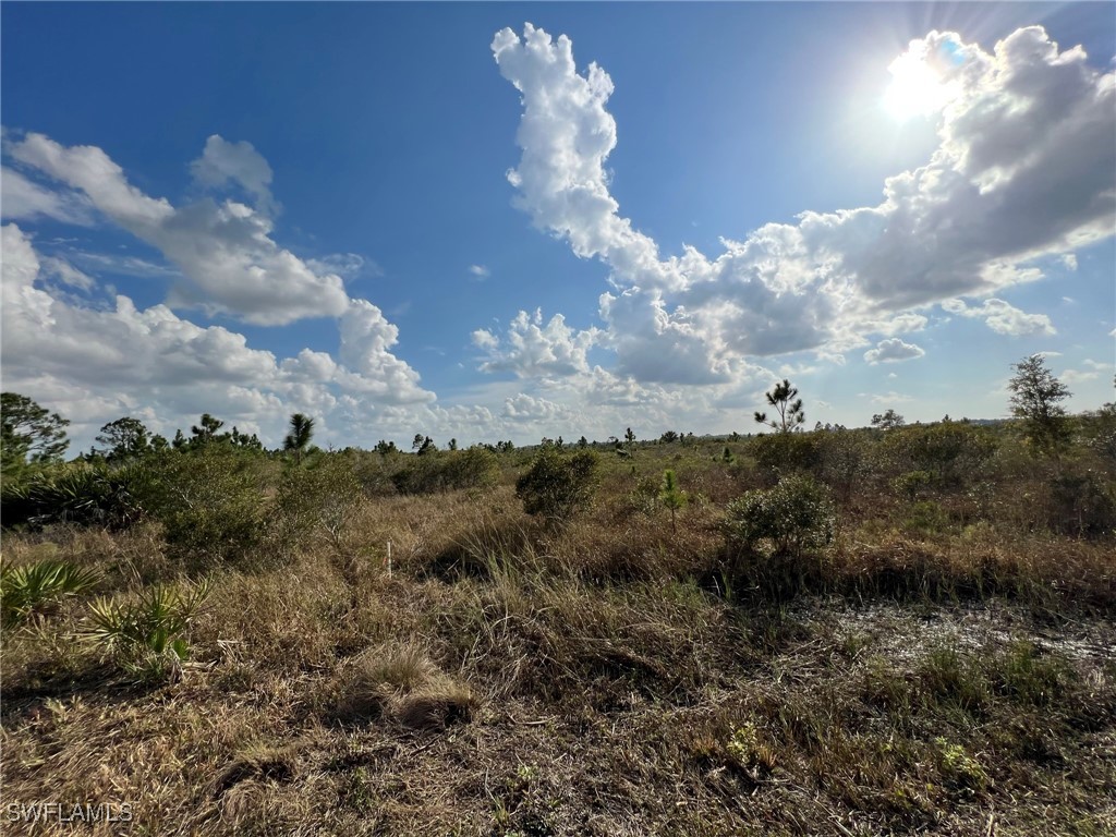 50044 Bermont Road Punta Gorda, FL 33982 - Photo 2 of 19 a view of a sky
