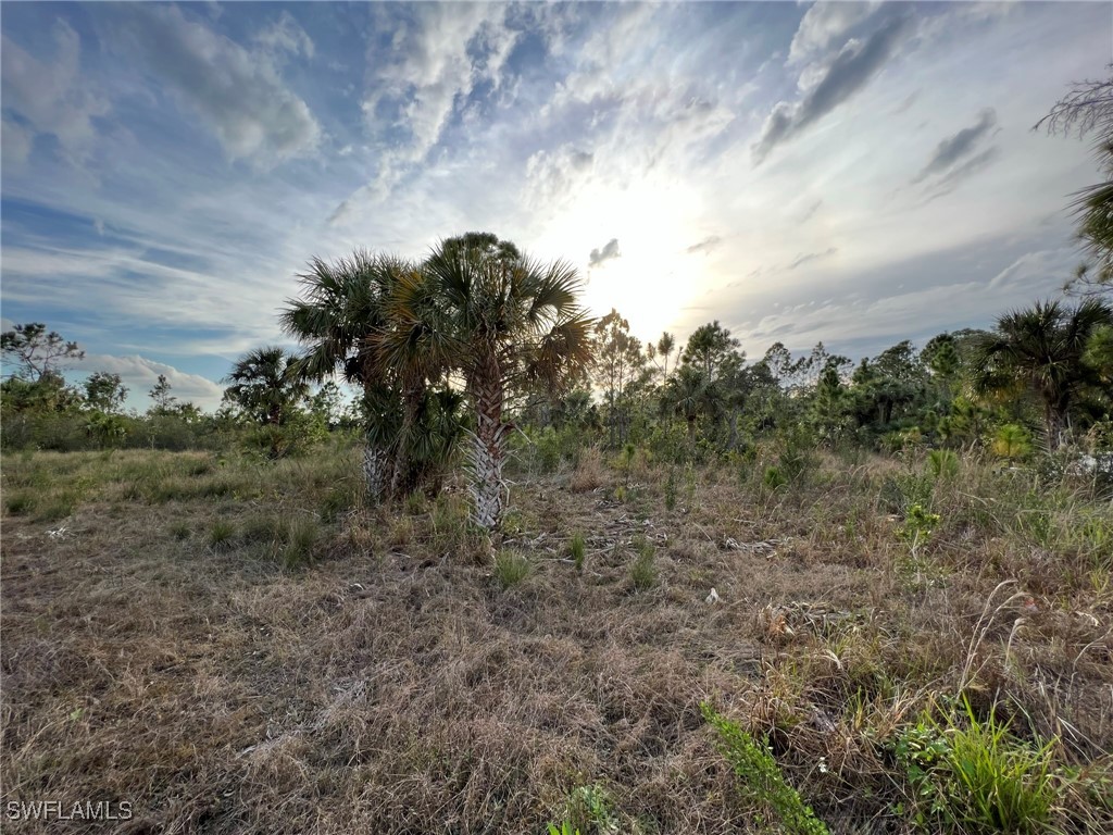 50044 Bermont Road Punta Gorda, FL 33982 - Photo 3 of 19 a view of a field of grass and trees