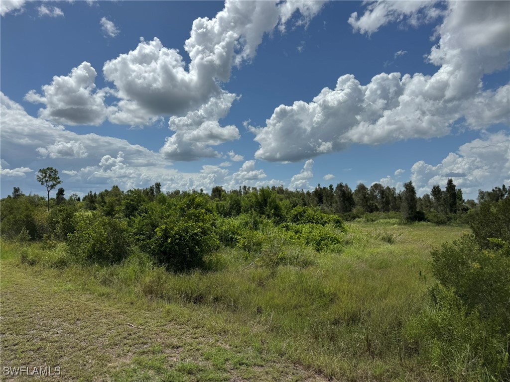 50044 Bermont Road Punta Gorda, FL 33982 - Photo 4 of 19 a view of a bunch of trees in a field