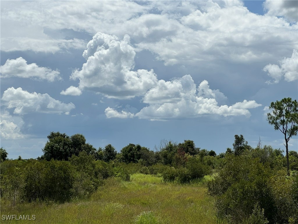 50044 Bermont Road Punta Gorda, FL 33982 - Photo 8 of 19 a view of a lake in middle of forest