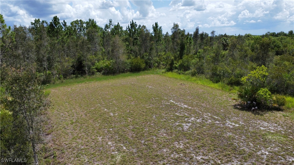 50044 Bermont Road Punta Gorda, FL 33982 - Photo 9 of 19 a view of a field with trees in the background