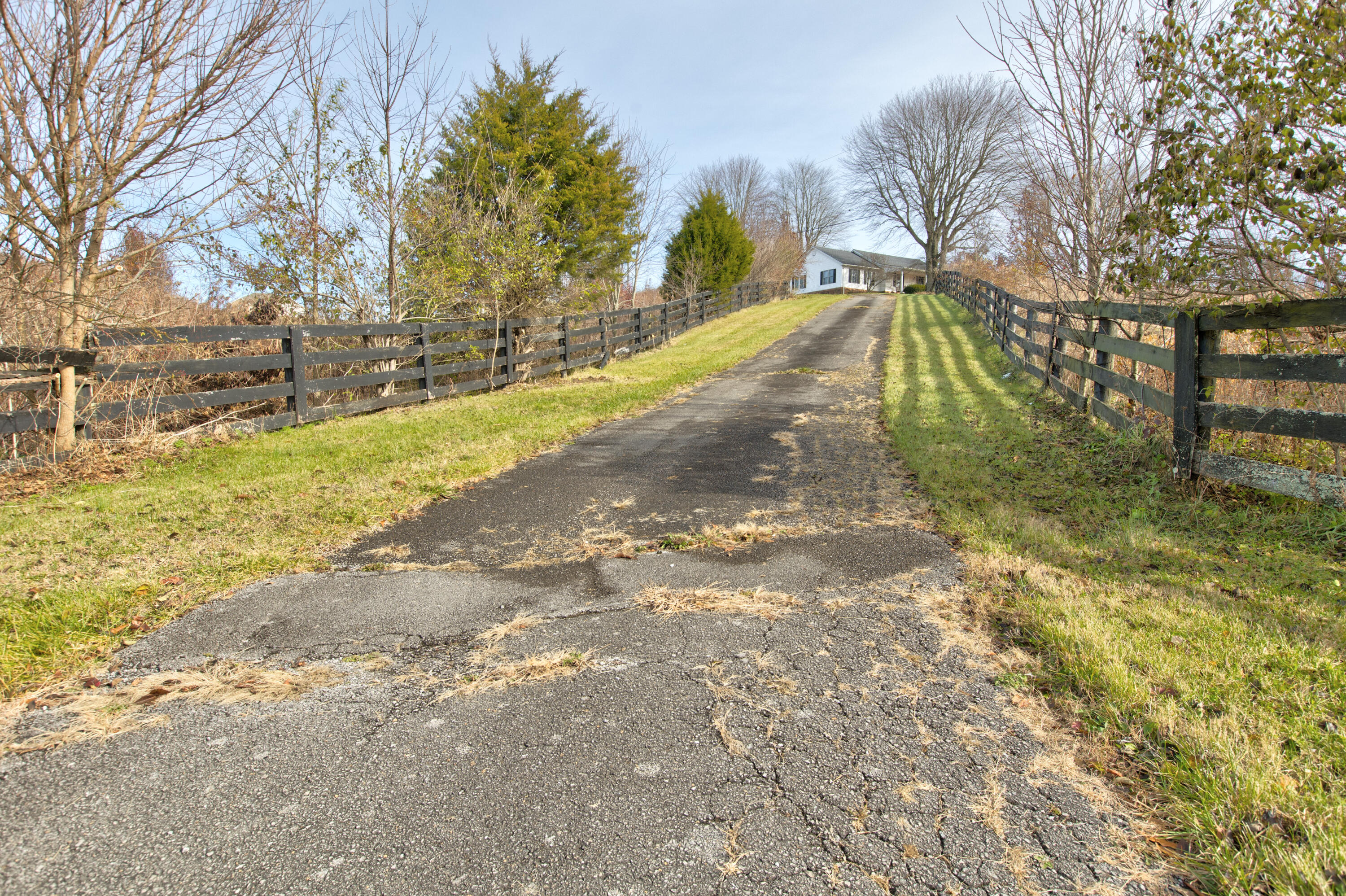 2509 Howards Mill Road Mount Sterling, KY 40353 - Photo 31 of 31 261A6709_10_11