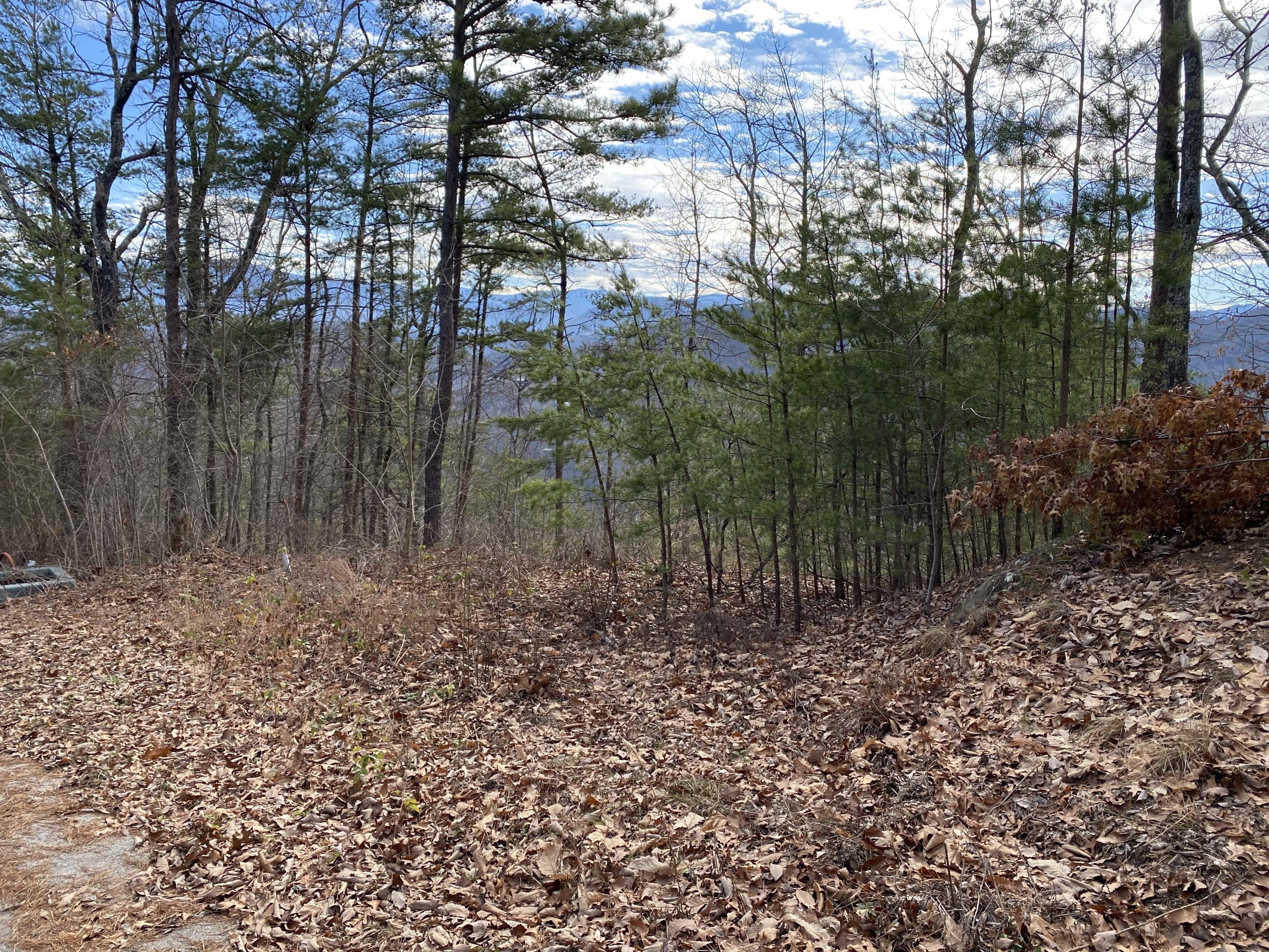Lot 42 Long Rifle Road Walland, TN 37886 - Photo 14 of 21 Level homesite