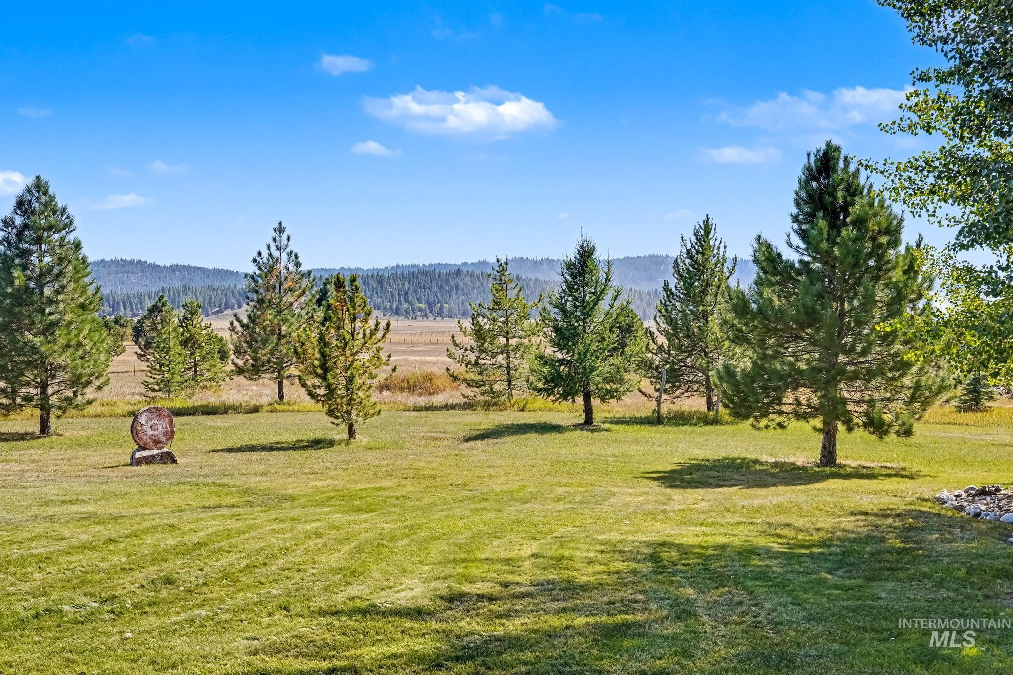 106 Wilderness Lake Road Cascade, ID 83611 - Photo 23 of 35 Expansive grassy terrain with scattered mature evergreen trees