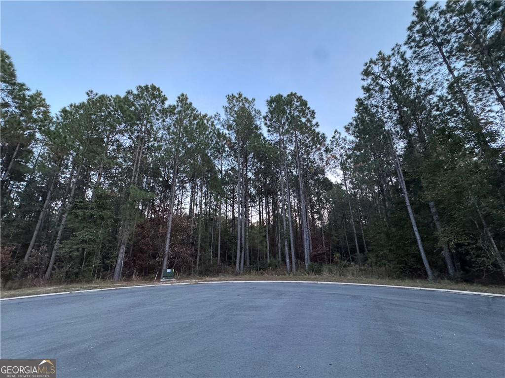 Lot 222 Clam Creek Waverly, GA 31565 - Photo 5 of 8 a view of backyard with green space