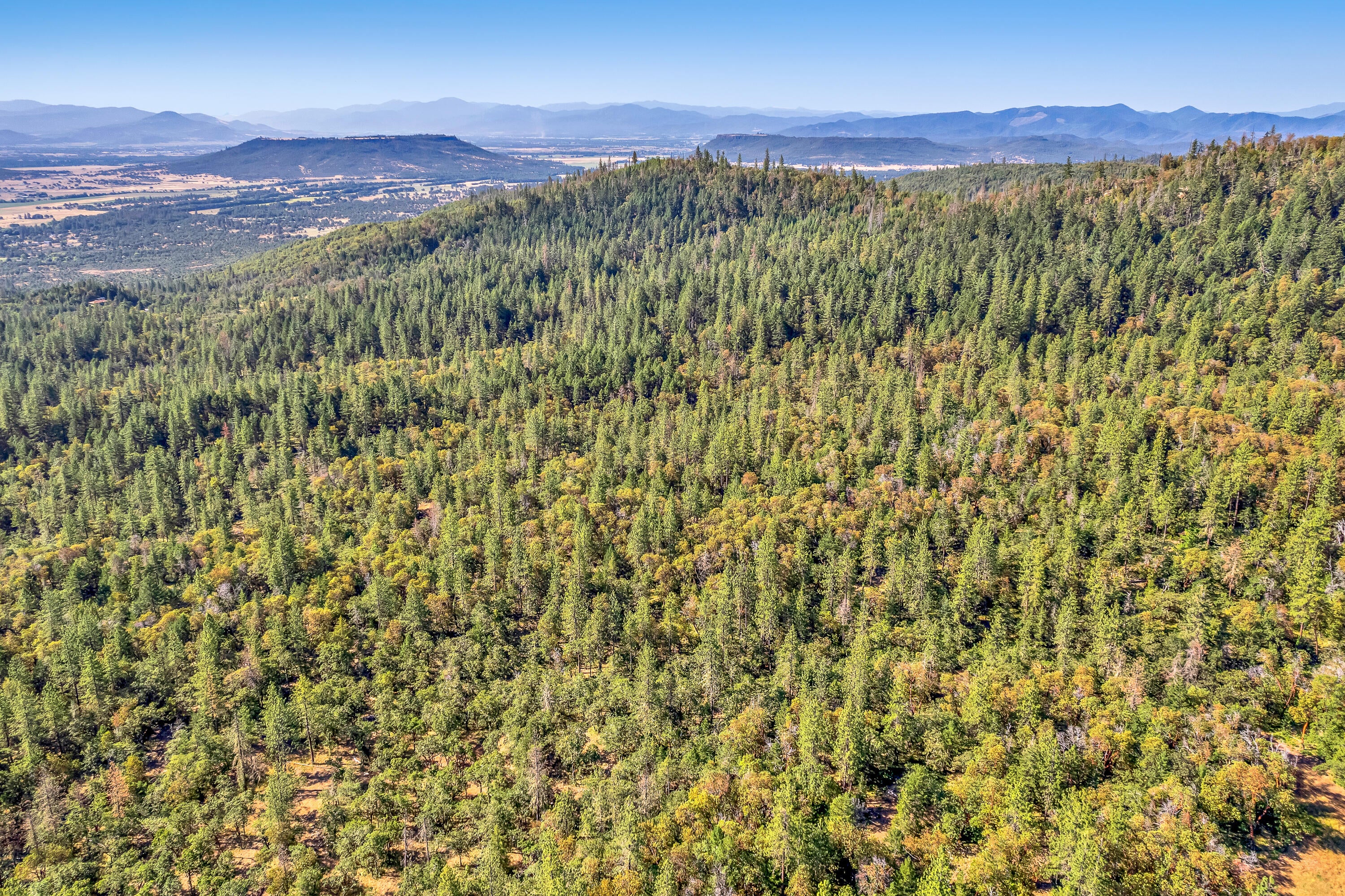 7745 Beagle Road White City, OR 97503 - Photo 46 of 49 DJI_0507