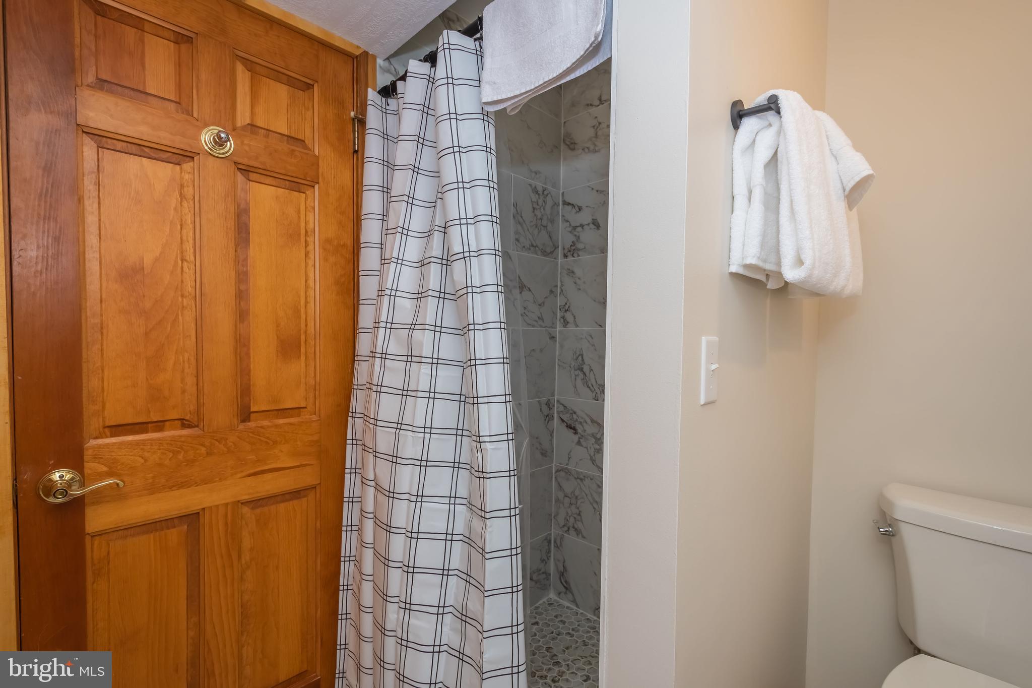 1140 Rock Lodge Road McHenry, MD 21541 - Photo 31 of 60 a bathroom with a shower