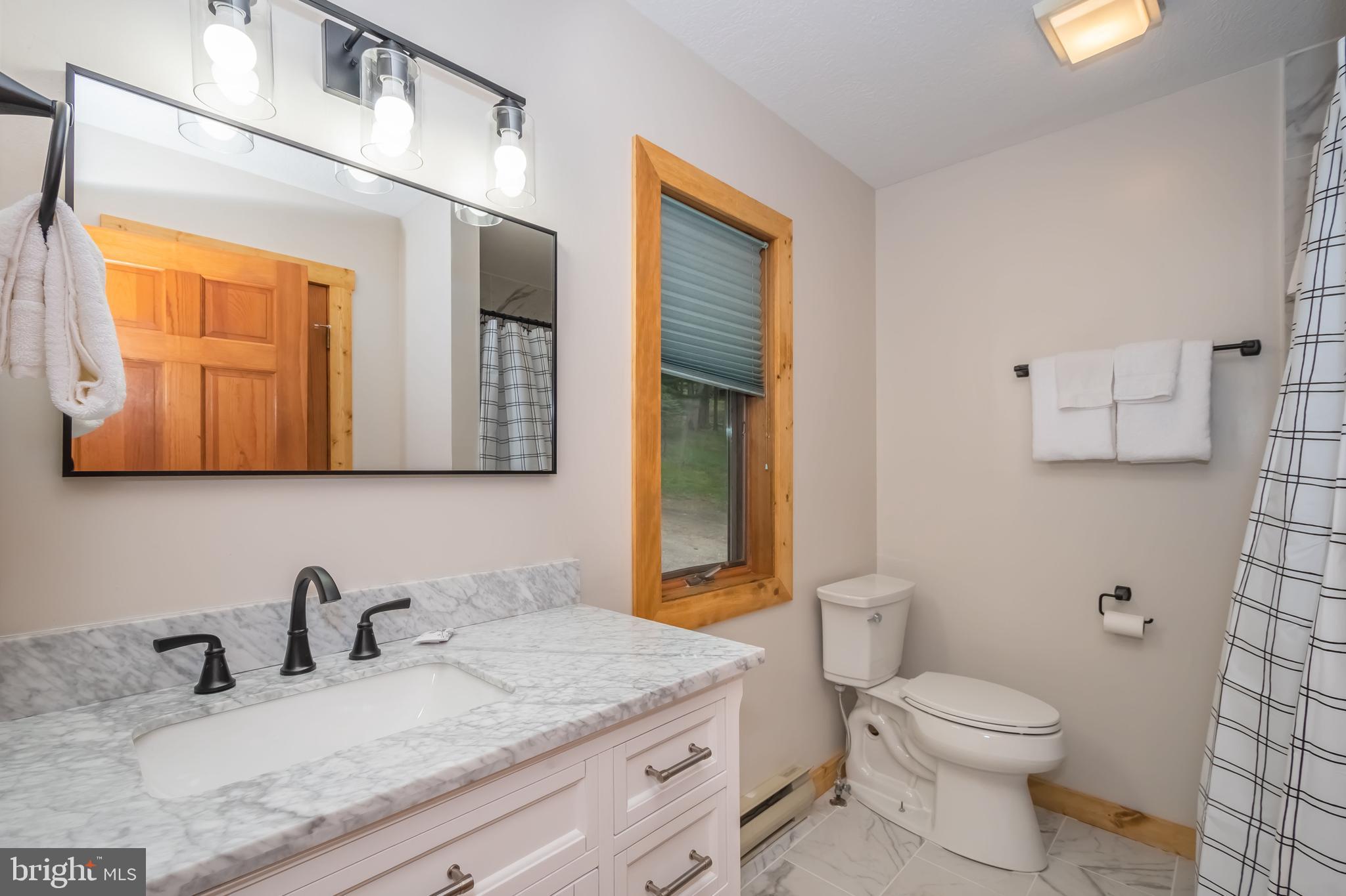 1140 Rock Lodge Road McHenry, MD 21541 - Photo 47 of 60 a bathroom with a granite countertop toilet sink and mirror