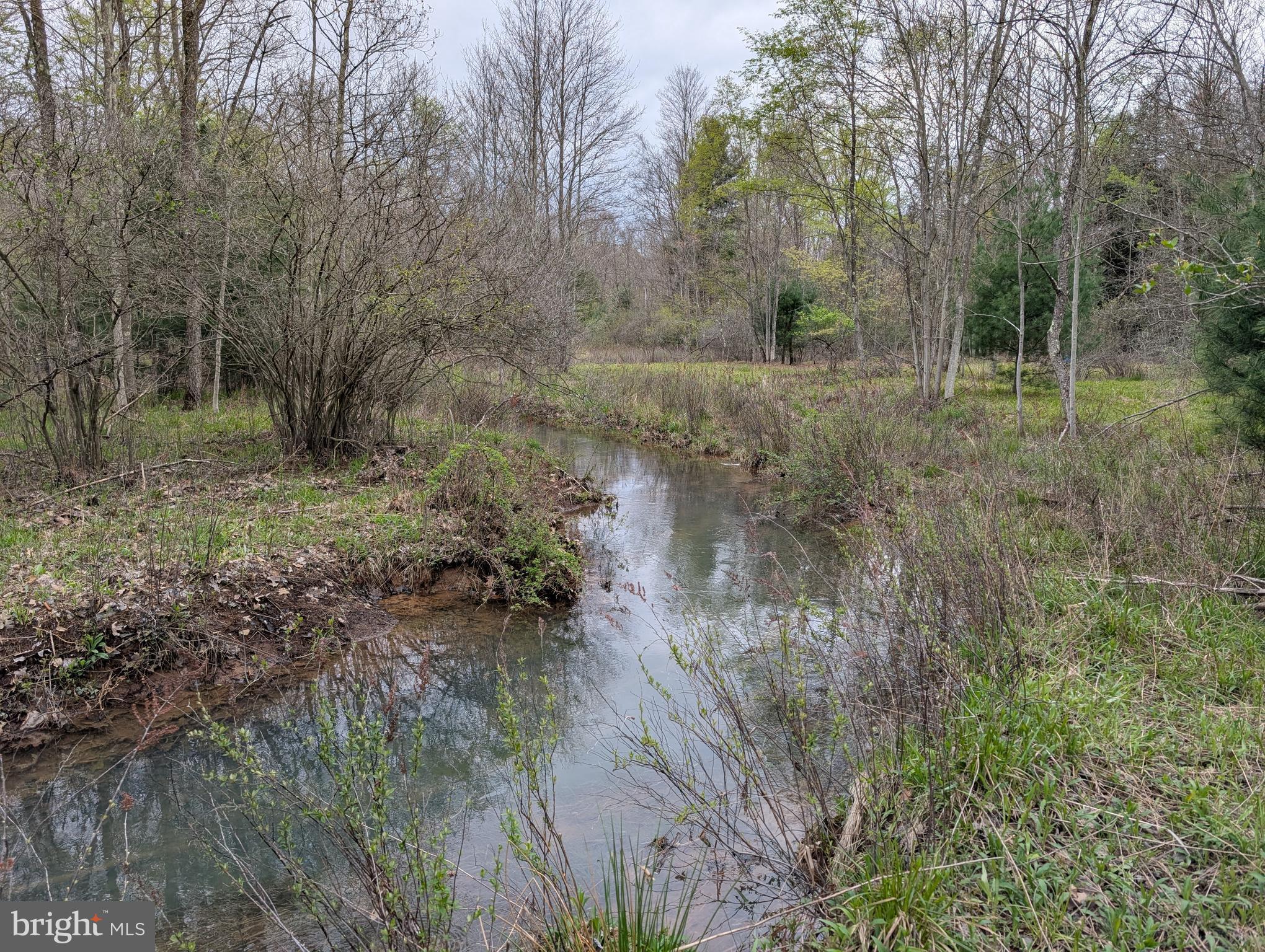 1532 Clarence Road Clarence, PA 16829 - Photo 5 of 35 a view of a forest with trees in the background