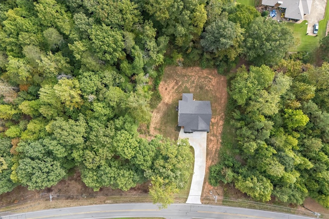 1119 Griffin Mill Road Easley, SC 29640 - Photo 32 of 36