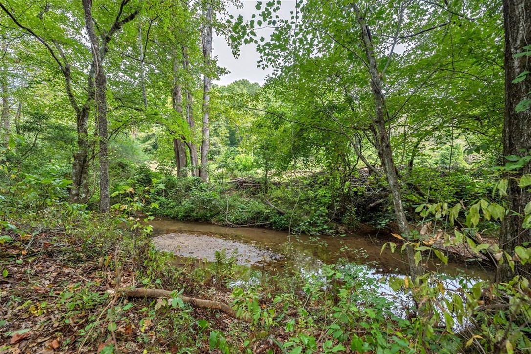 1119 Griffin Mill Road Easley, SC 29640 - Photo 34 of 36