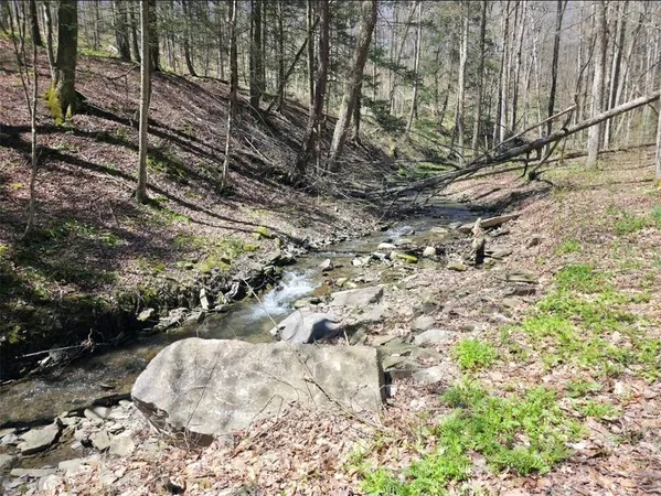 $73,500 | 0 Dunn Road, Horseheads, NY 14845
