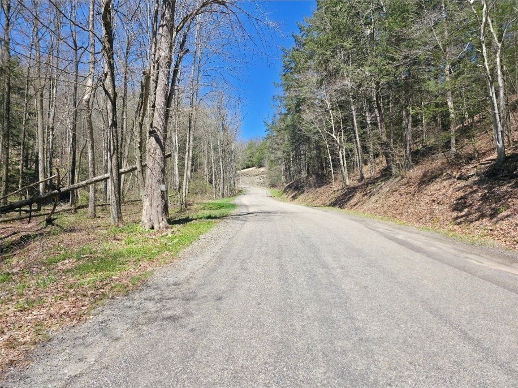 0 Dunn Road Horseheads, NY 14845 - Photo 3 of 6