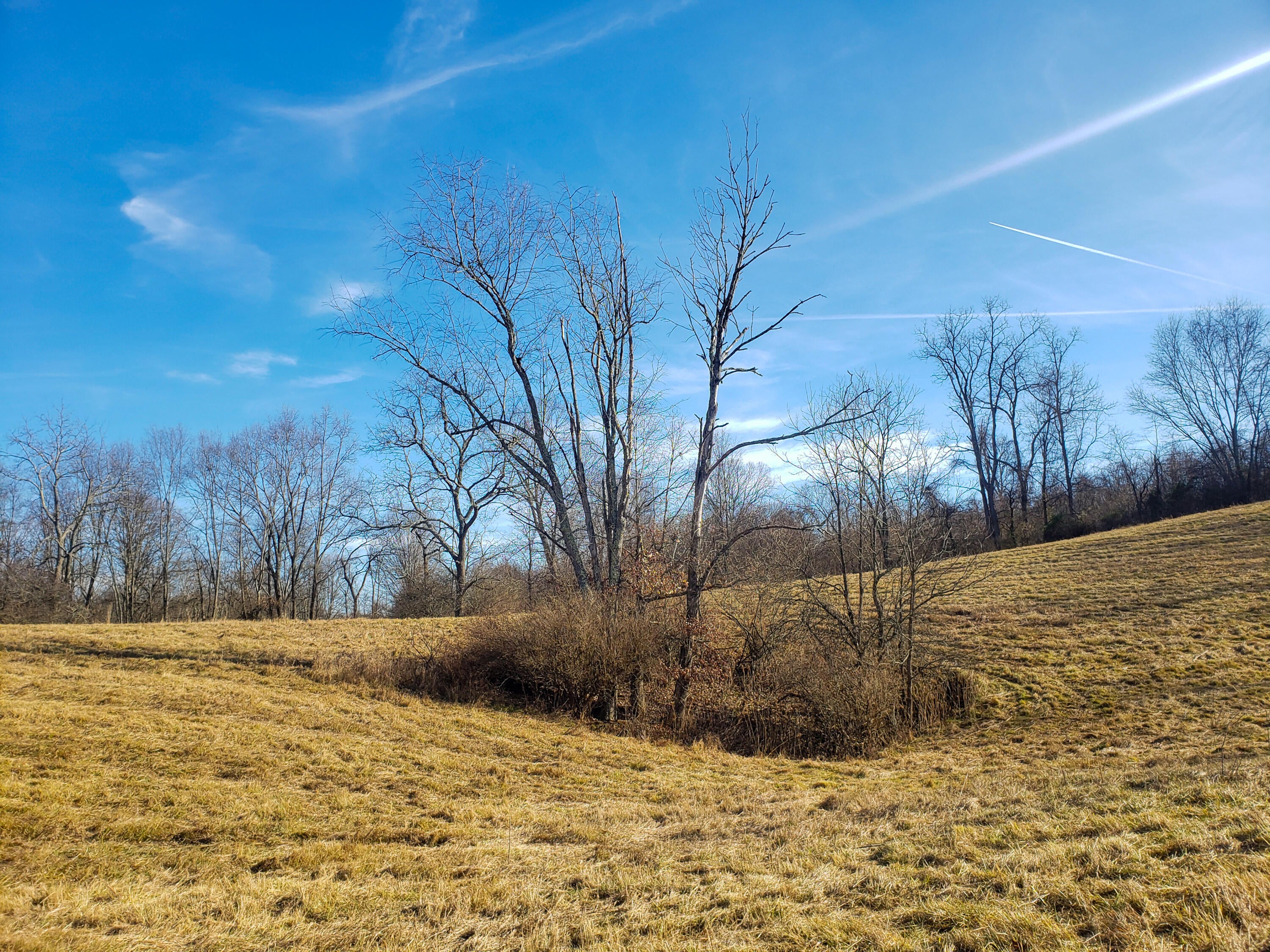 Lost World Road Lewisburg, WV 24901 - Photo 13 of 27 Gallery Image 13