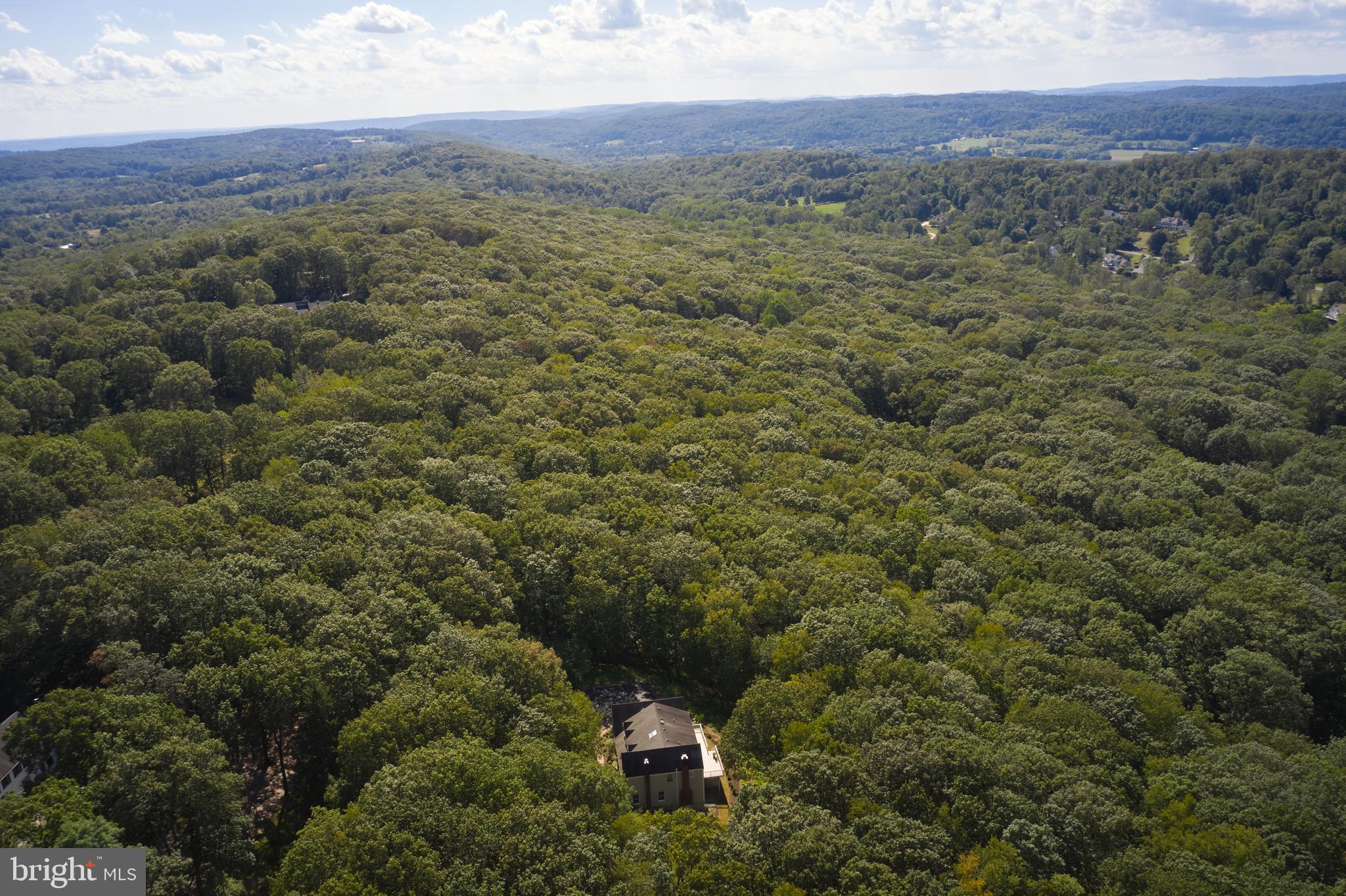 71 Big Spring Road Califon, NJ 07830 - Photo 36 of 41 a view of a forest with a yard