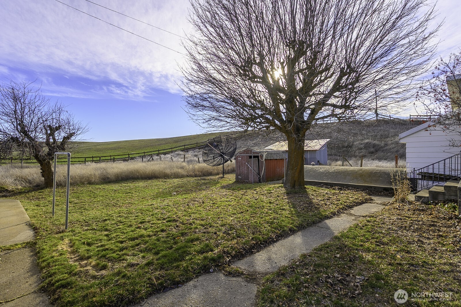 32244 Mohler Road East Mohler, WA 99154 - Photo 11 of 35 a view of a yard with an trees