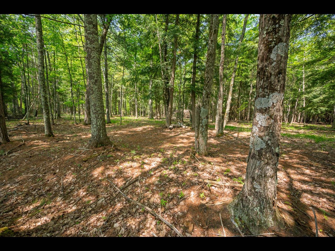 Lot 18 Memory Lane Eagle River, WI 54521 - Photo 4 of 12 Gallery Image 4