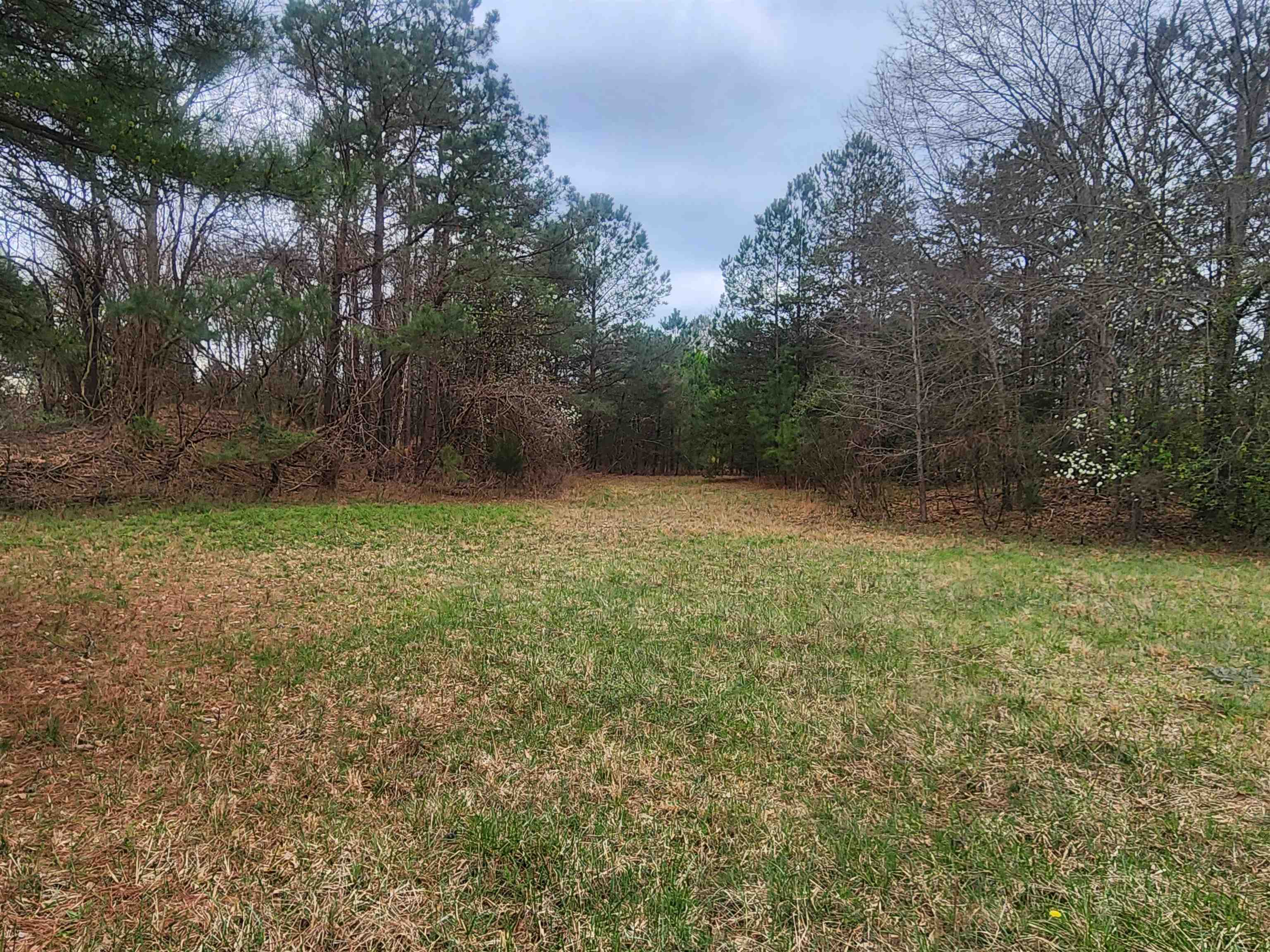 134 Old Converse Road Spartanburg, SC 29307 - Photo 11 of 28 Gallery Image 11