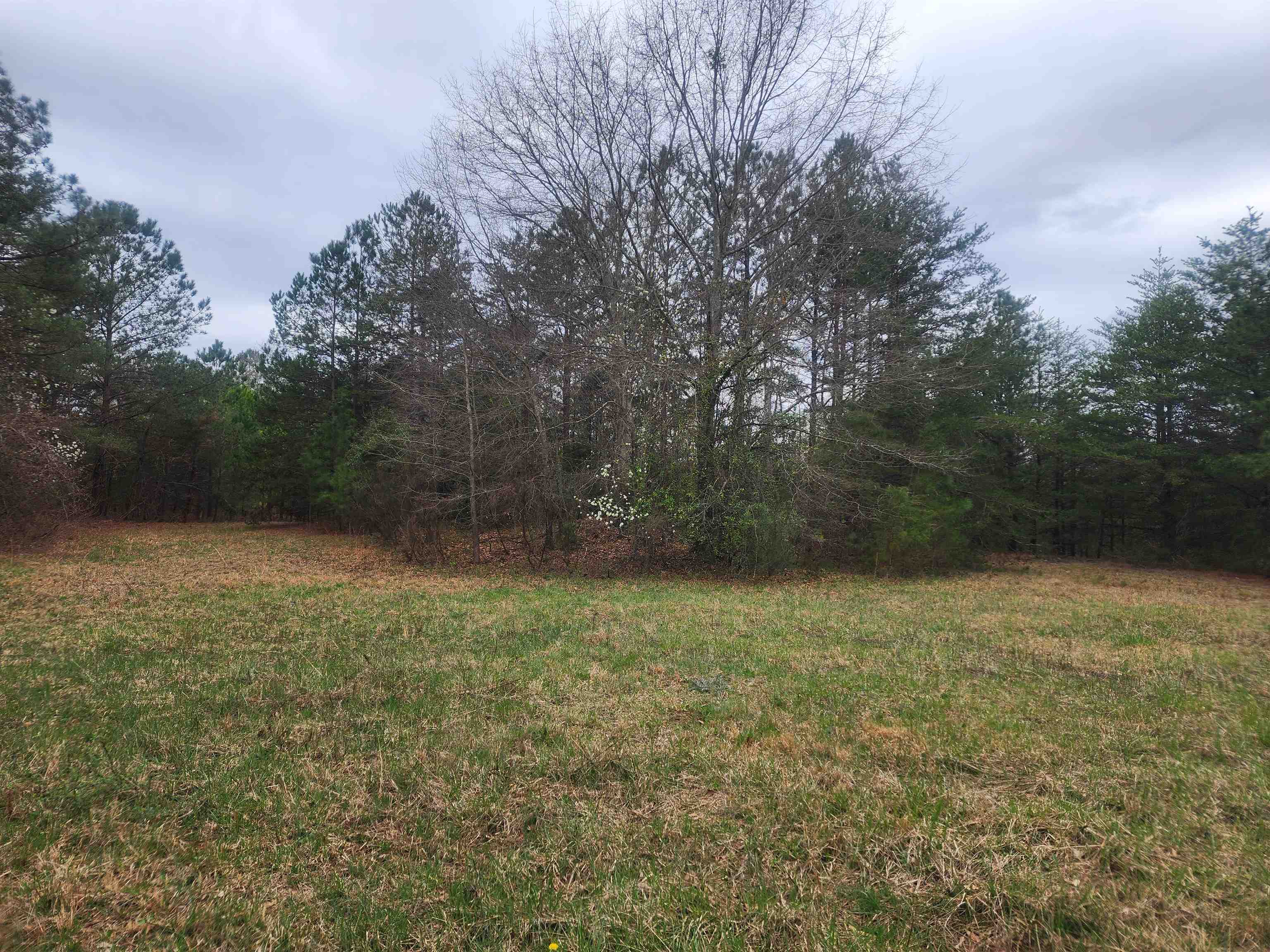 134 Old Converse Road Spartanburg, SC 29307 - Photo 12 of 28 Gallery Image 12