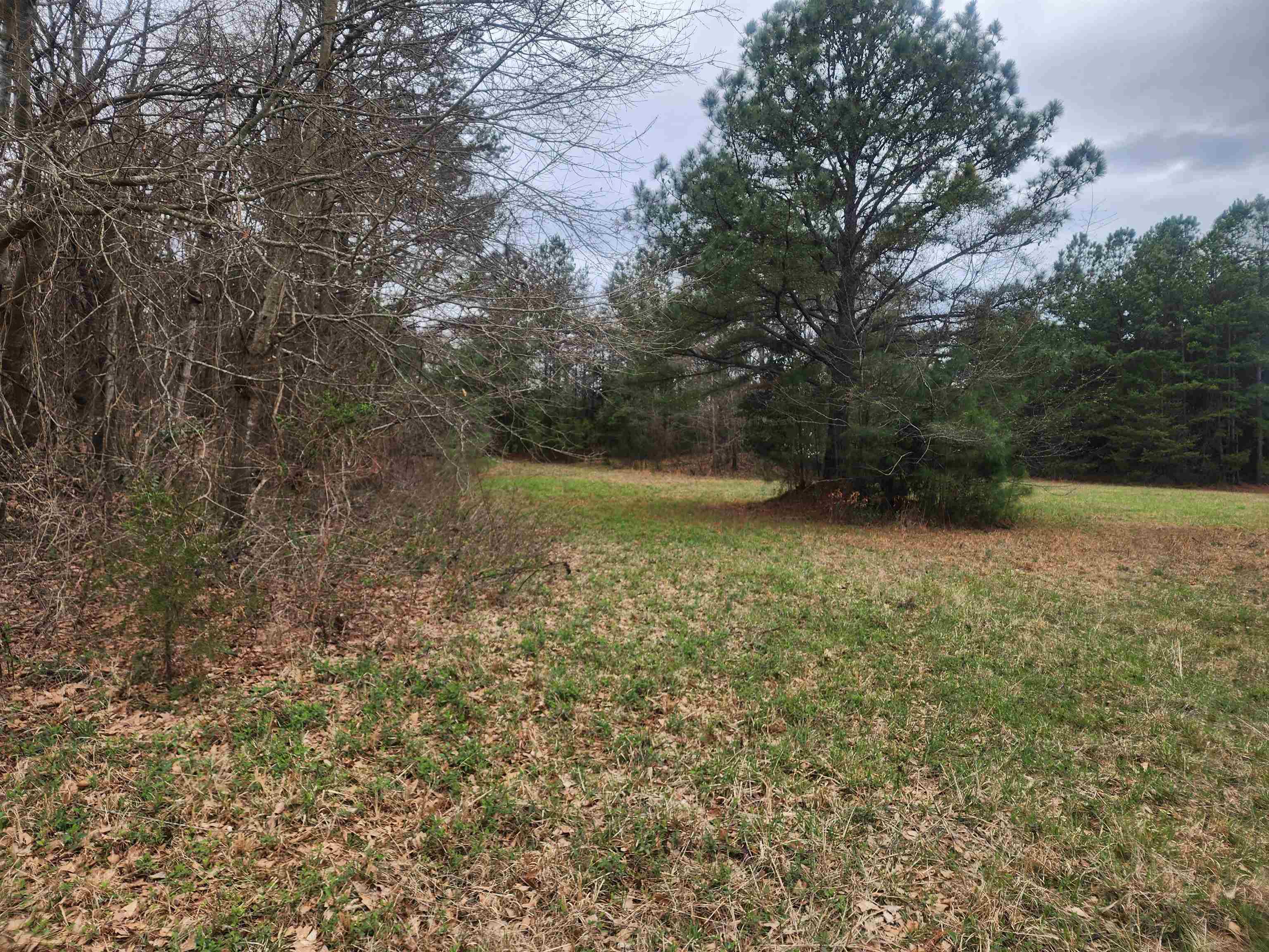134 Old Converse Road Spartanburg, SC 29307 - Photo 5 of 28 Gallery Image 5