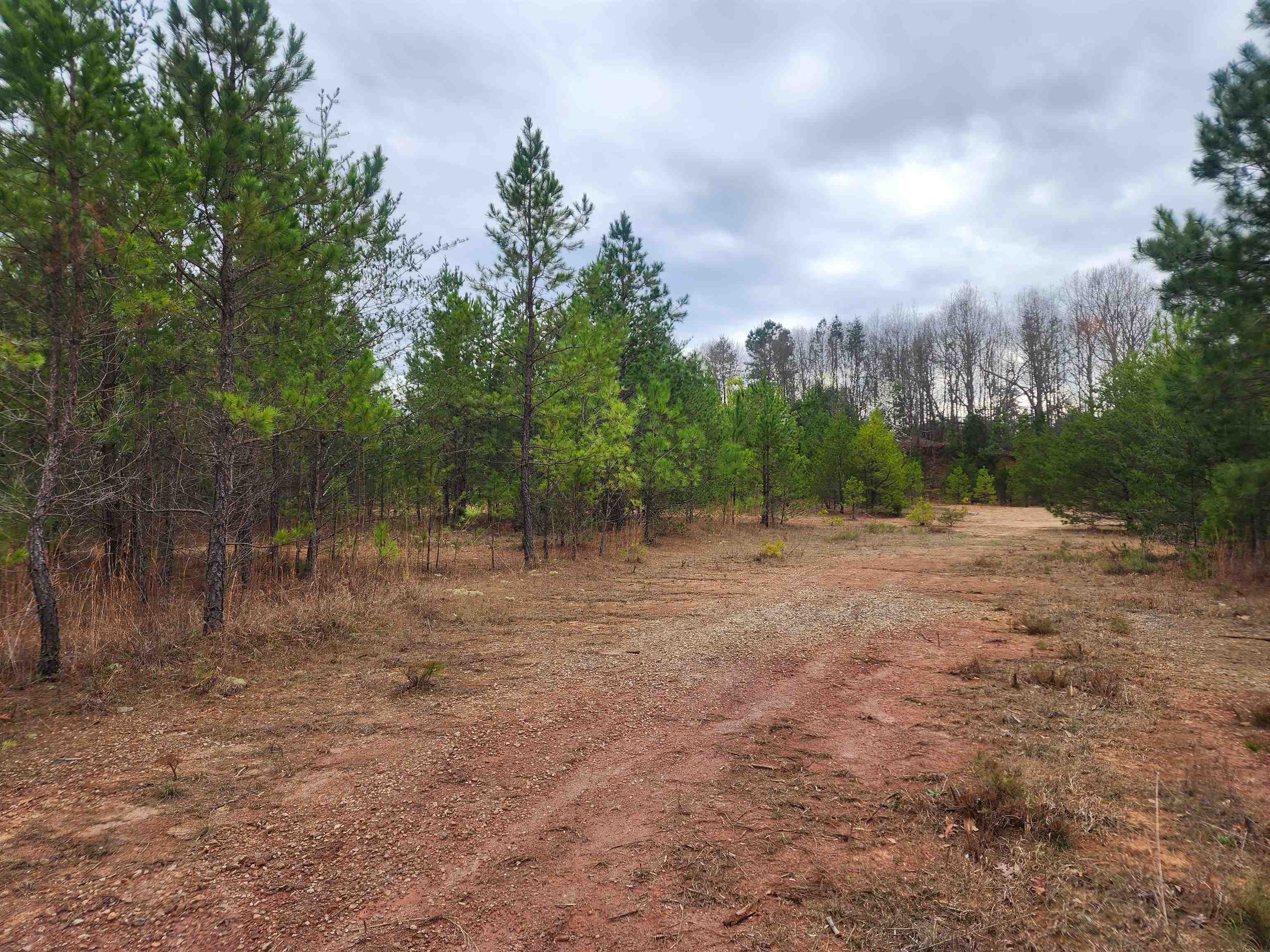 134 Old Converse Road Spartanburg, SC 29307 - Photo 6 of 28 Gallery Image 6