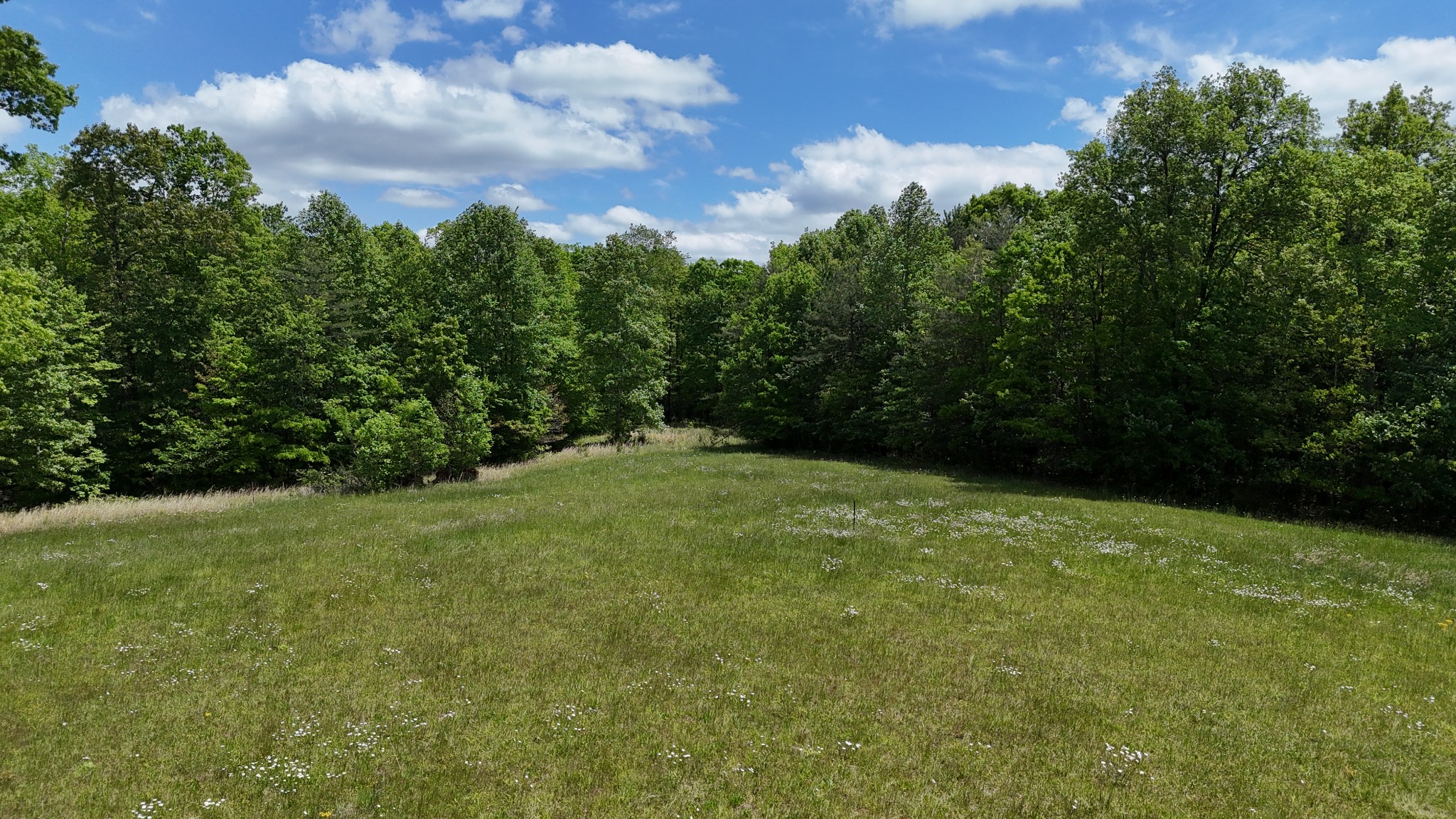 7549 Harrison Ferry Road McMinnville, TN 37110 - Photo 44 of 55