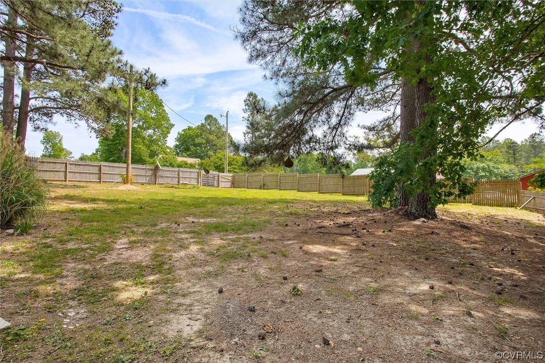 20007 Eugene Drive Sutherland, VA 23885 - Photo 19 of 21 a view of a big yard with palm trees