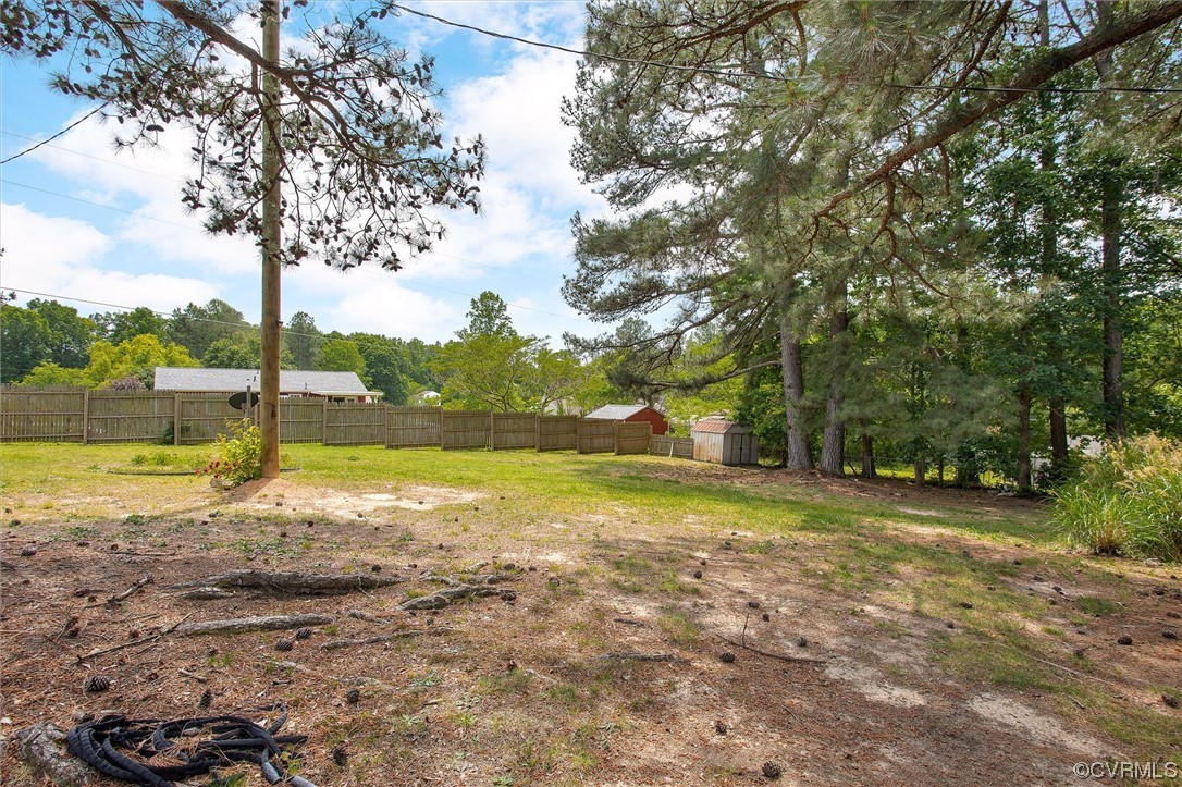 20007 Eugene Drive Sutherland, VA 23885 - Photo 20 of 21 a view of a water fountain and a tree
