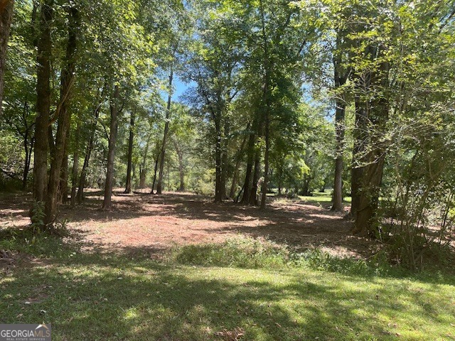 0 Sportsman Club Road Grantville, GA 30220 - Photo 7 of 46 a view of a tree in the middle of a yard
