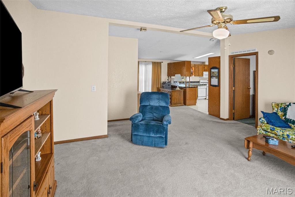 220 West Washington Street Medora, IL 62063 - Photo 32 of 59 Gallery Image 32