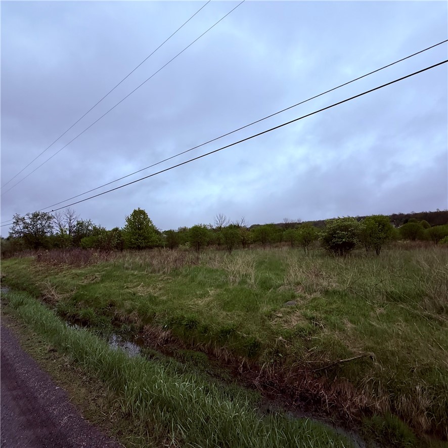 0 Reeds Corners Road Dansville, NY 14437 - Photo 8 of 13