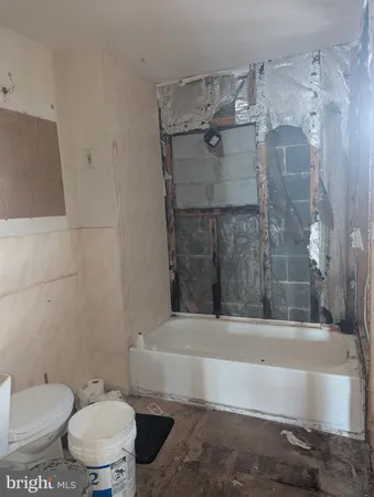 a bathroom with a toilet and a bathtub