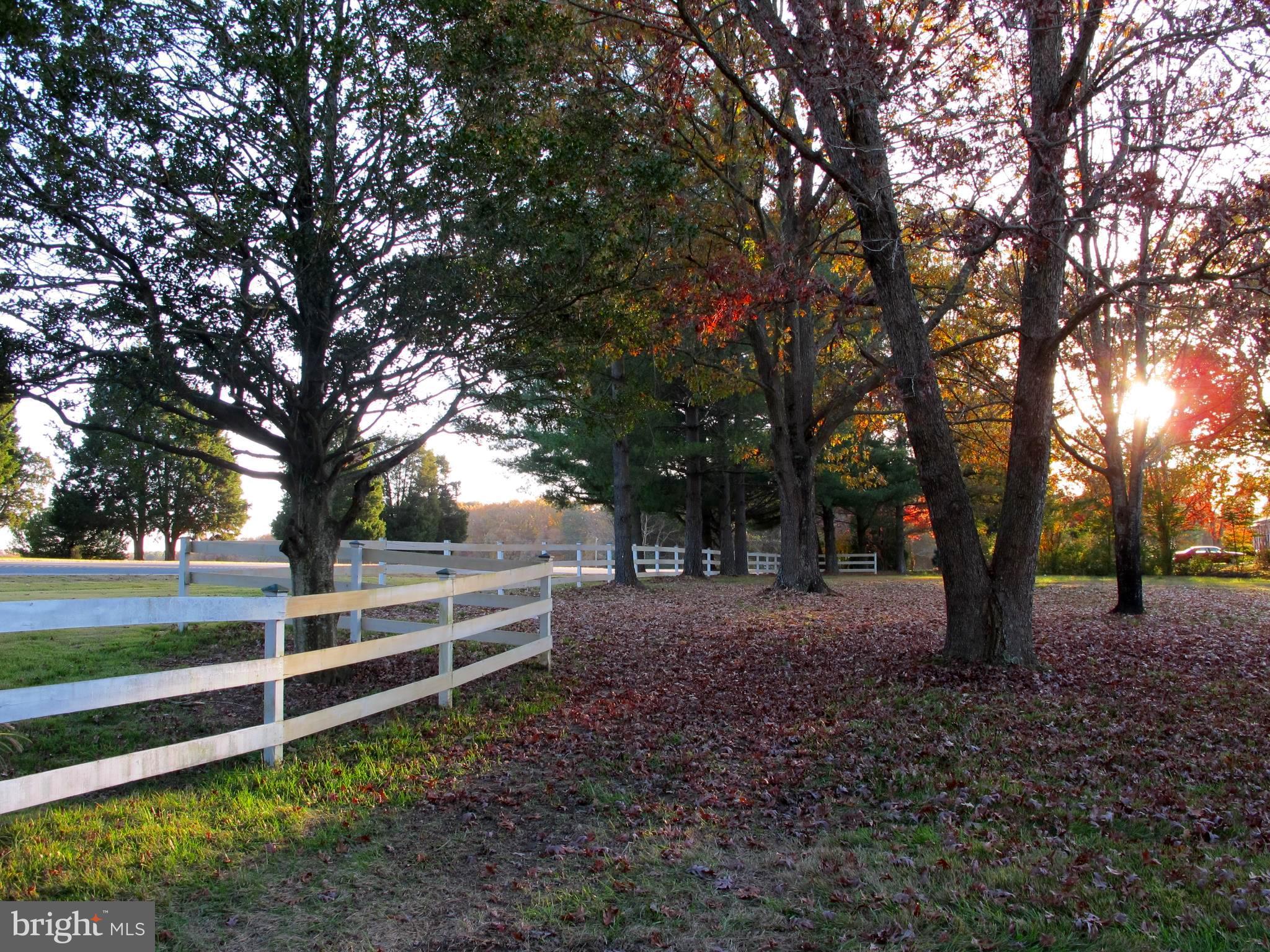 19095 Ridge Road Colonial Beach, VA 22443 - Photo 11 of 57 Alt view of front yard and fence line.