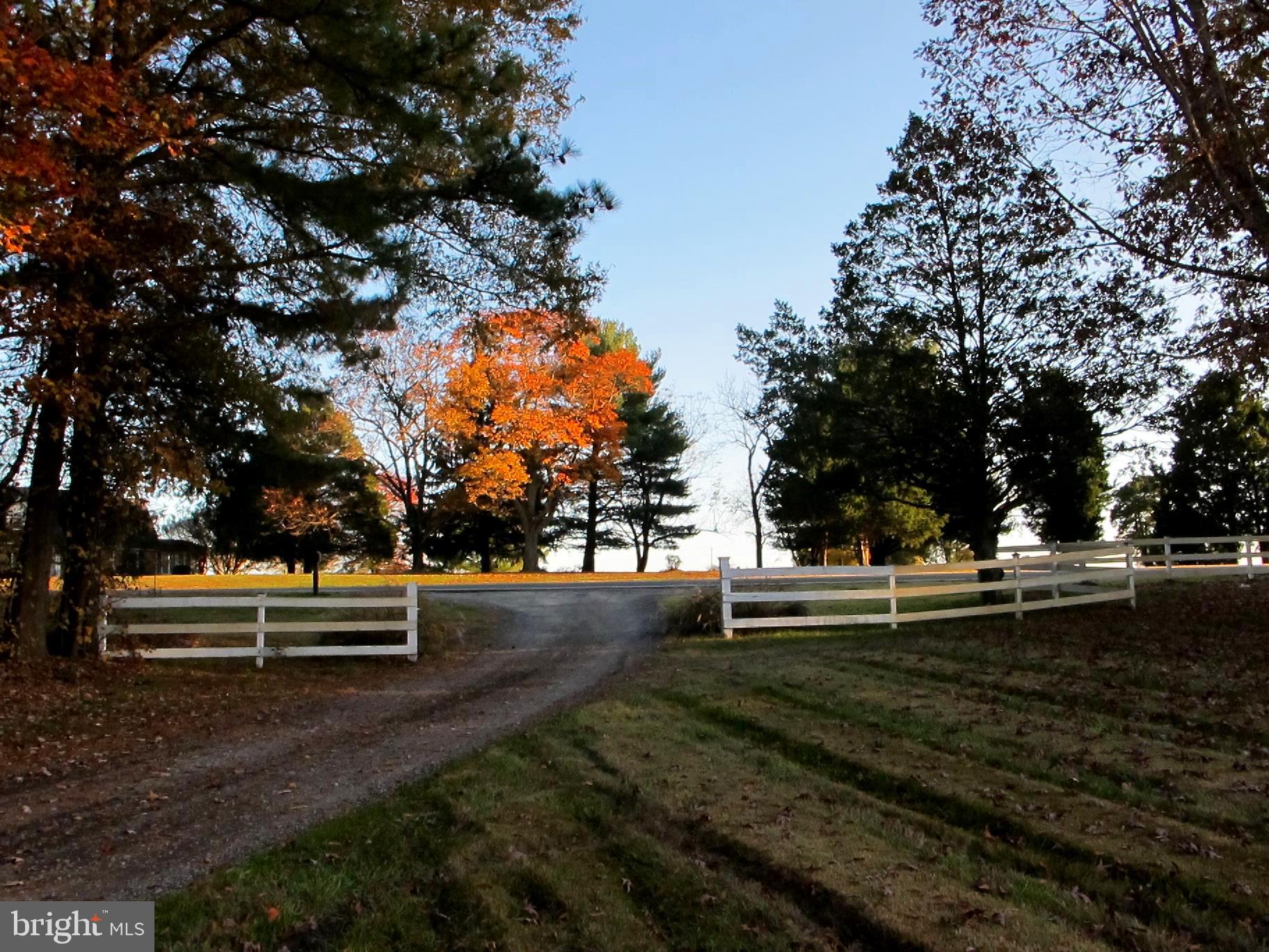 19095 Ridge Road Colonial Beach, VA 22443 - Photo 12 of 57 Alt view of gate and drive (leaving).