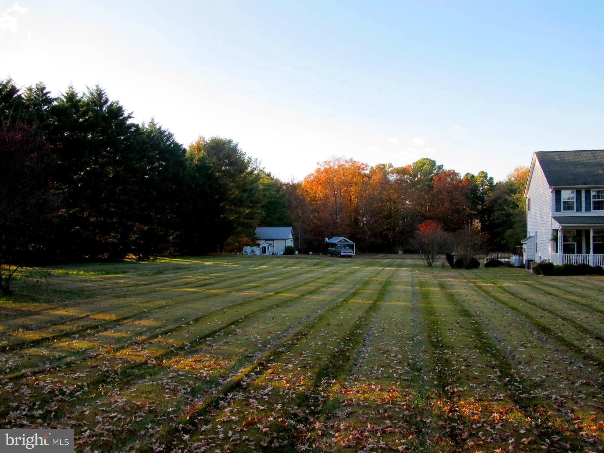 19095 Ridge Road Colonial Beach, VA 22443 - Photo 4 of 57 Side yard with view of sheds.