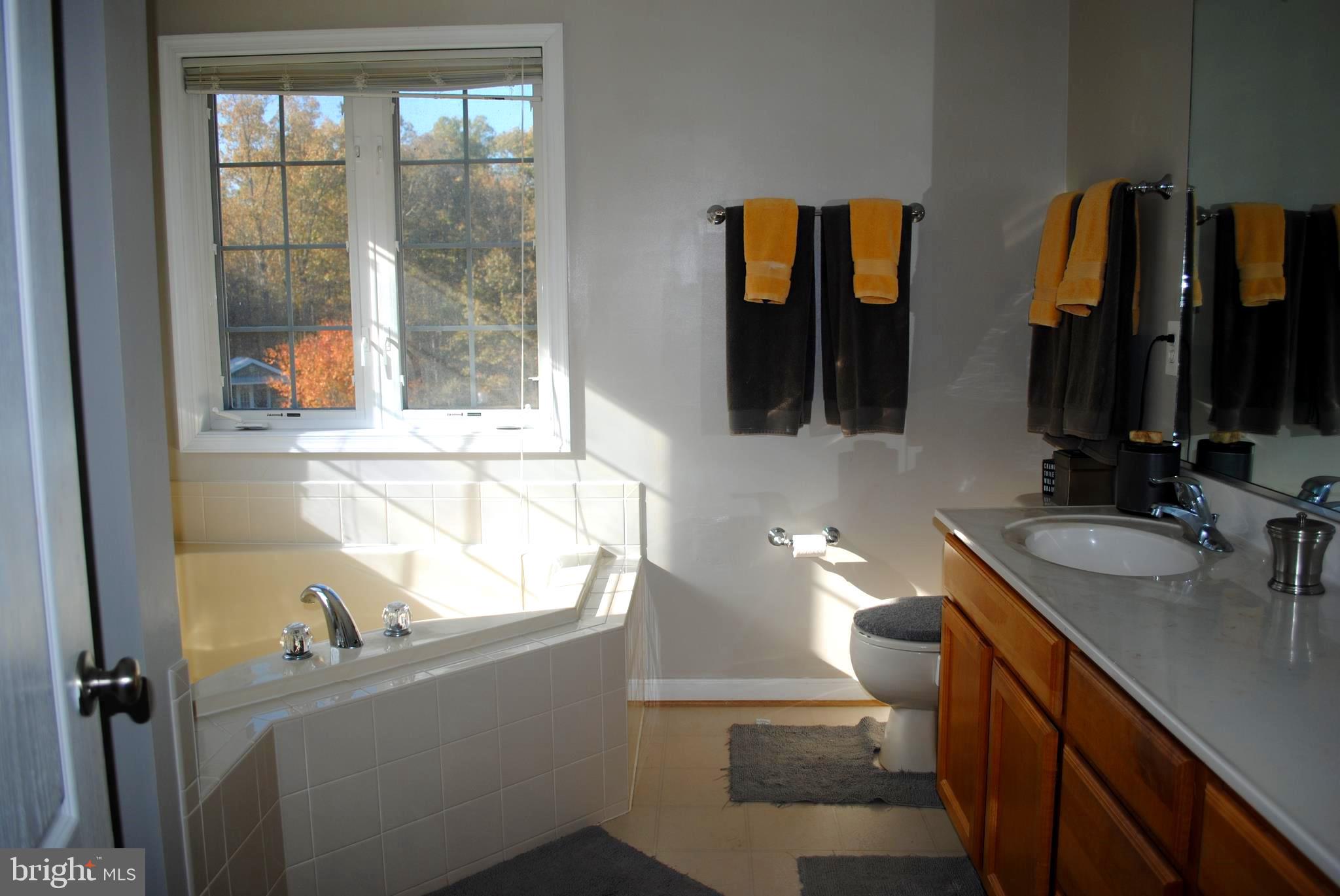 19095 Ridge Road Colonial Beach, VA 22443 - Photo 35 of 57 Alt view of master bath.
