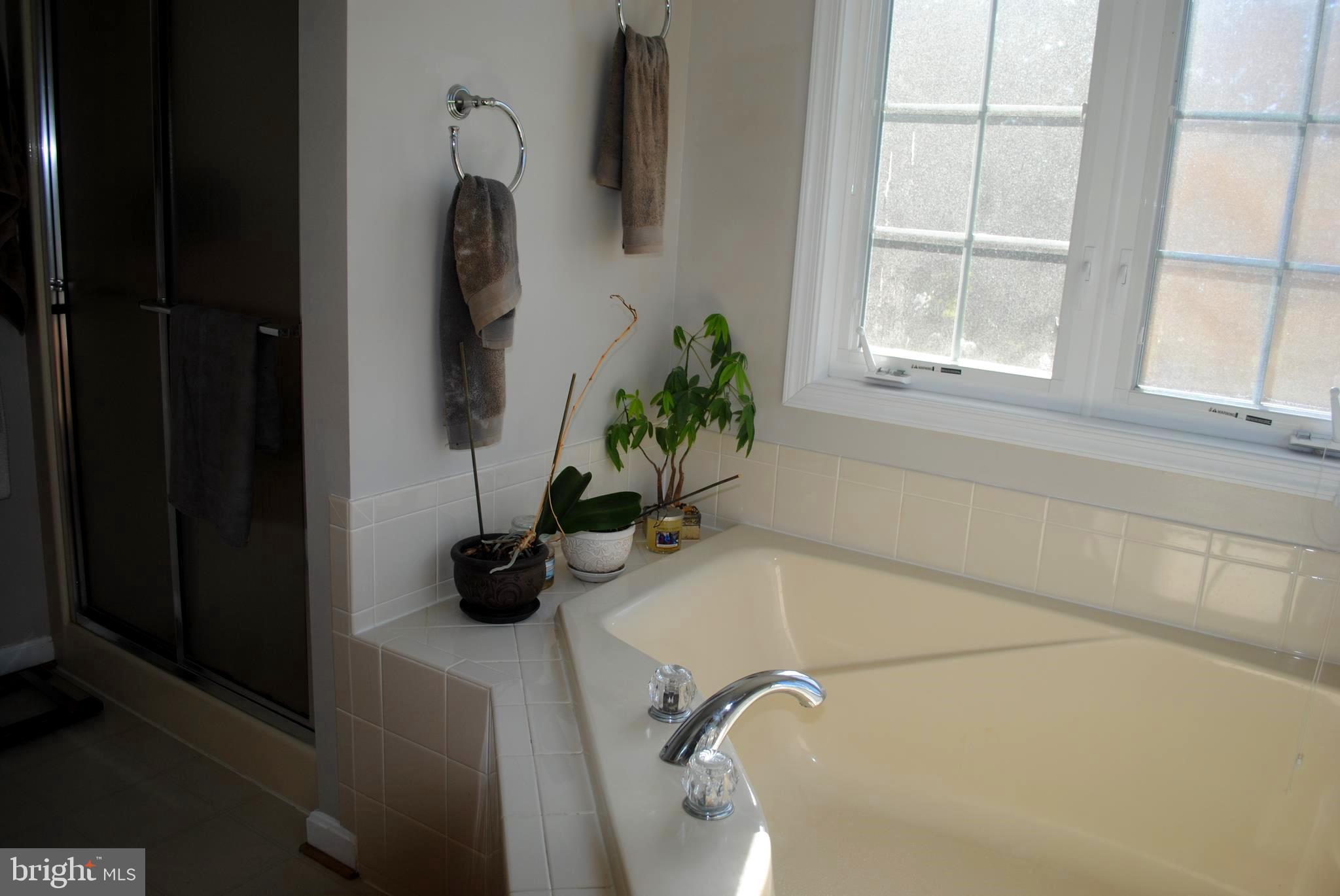 19095 Ridge Road Colonial Beach, VA 22443 - Photo 36 of 57 Corner soaker tub in master bath.