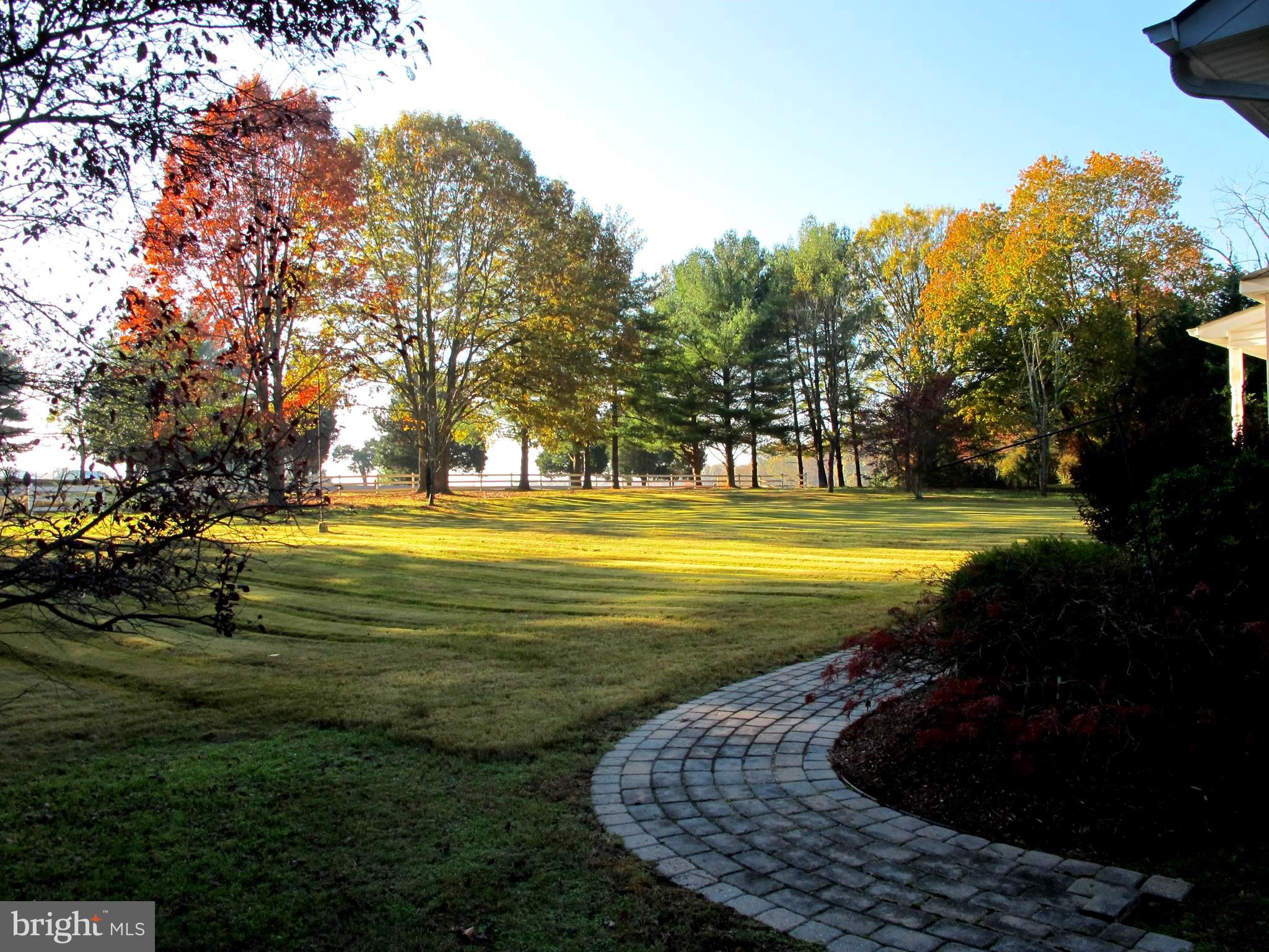 19095 Ridge Road Colonial Beach, VA 22443 - Photo 5 of 57 Front yard and walkway.