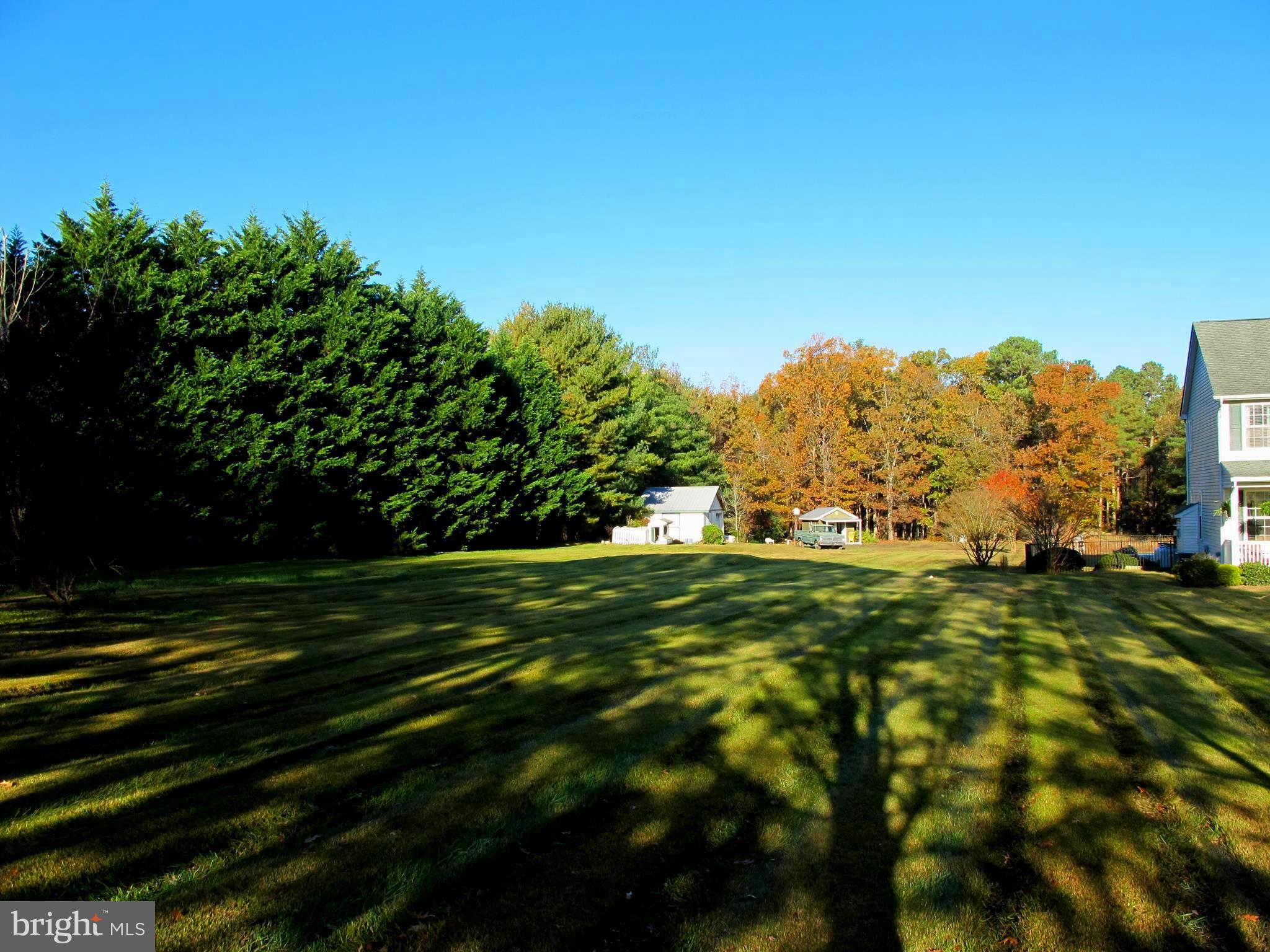 19095 Ridge Road Colonial Beach, VA 22443 - Photo 45 of 57 Side yard.