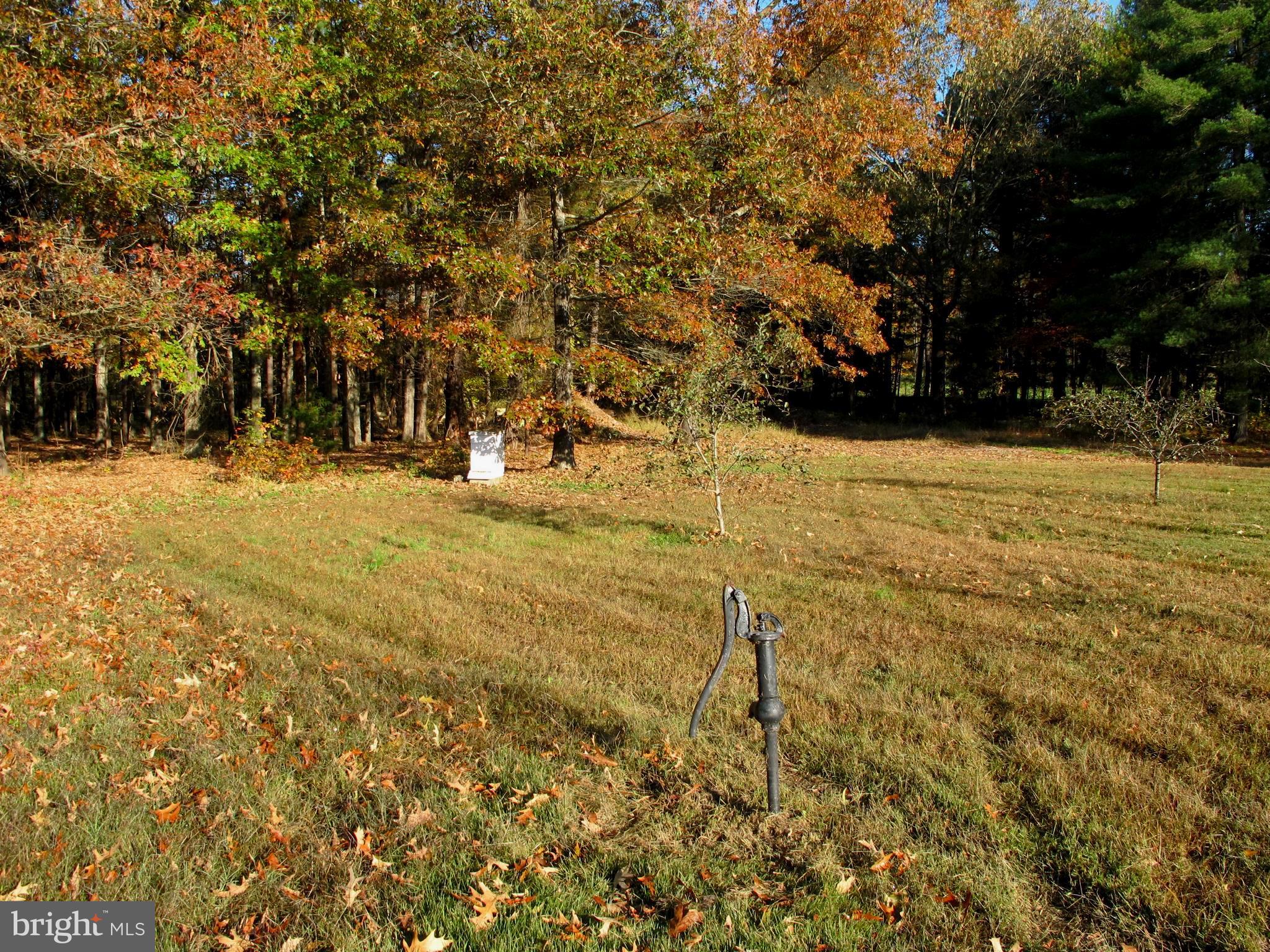 19095 Ridge Road Colonial Beach, VA 22443 - Photo 46 of 57 Back yard and tree line.