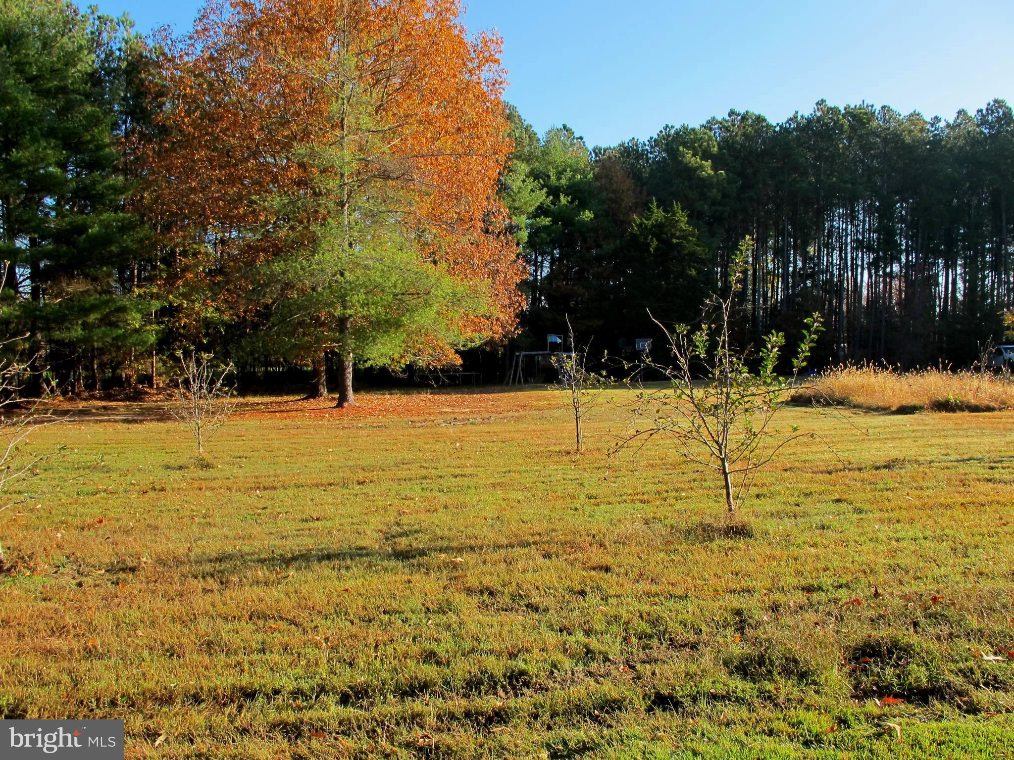 19095 Ridge Road Colonial Beach, VA 22443 - Photo 47 of 57 Alt view back yard.