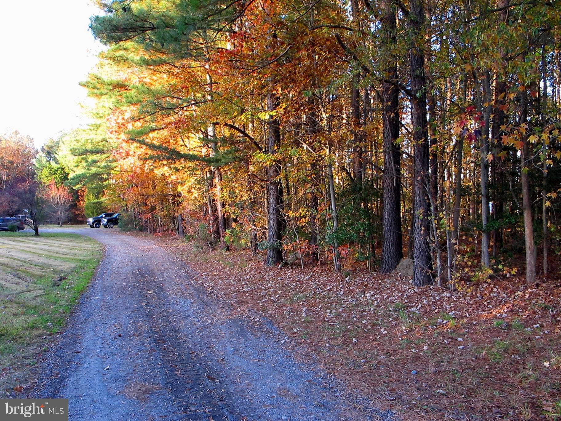 19095 Ridge Road Colonial Beach, VA 22443 - Photo 10 of 57 Driveway to house.