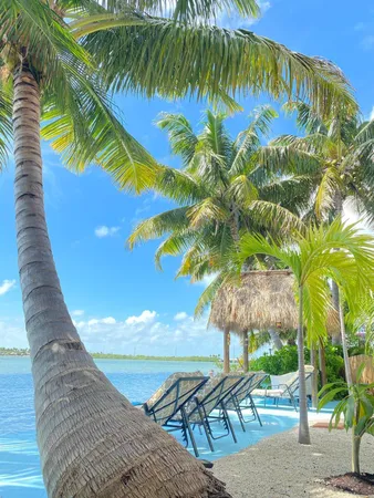 a flower view in front of flowers