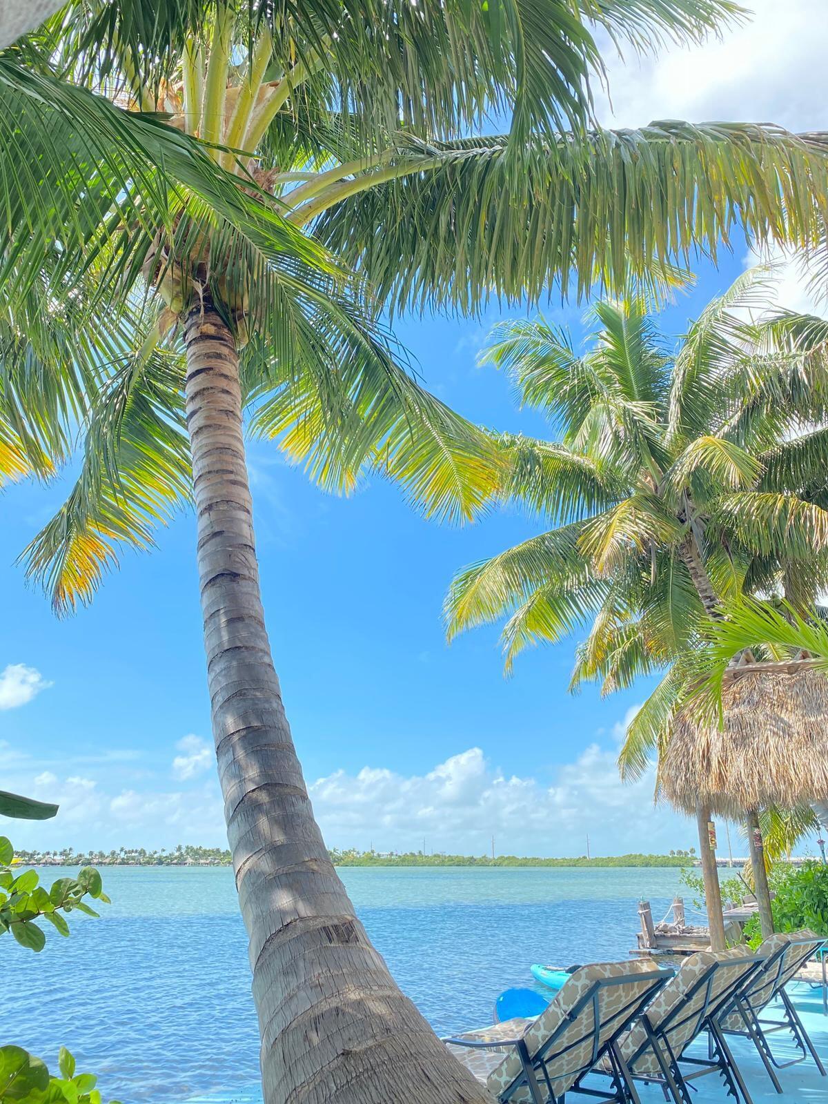 32 Beach Drive Key West, FL 33040 - Photo 25 of 33 a view of an ocean from a balcony