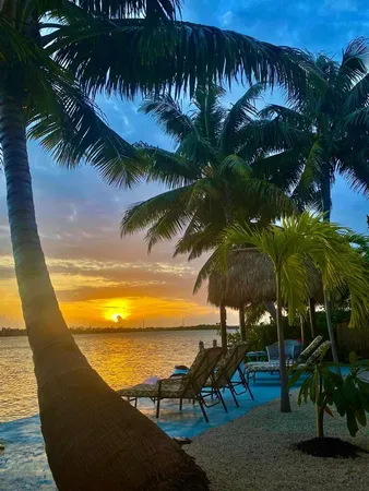 a view of a palm trees in front of a building
