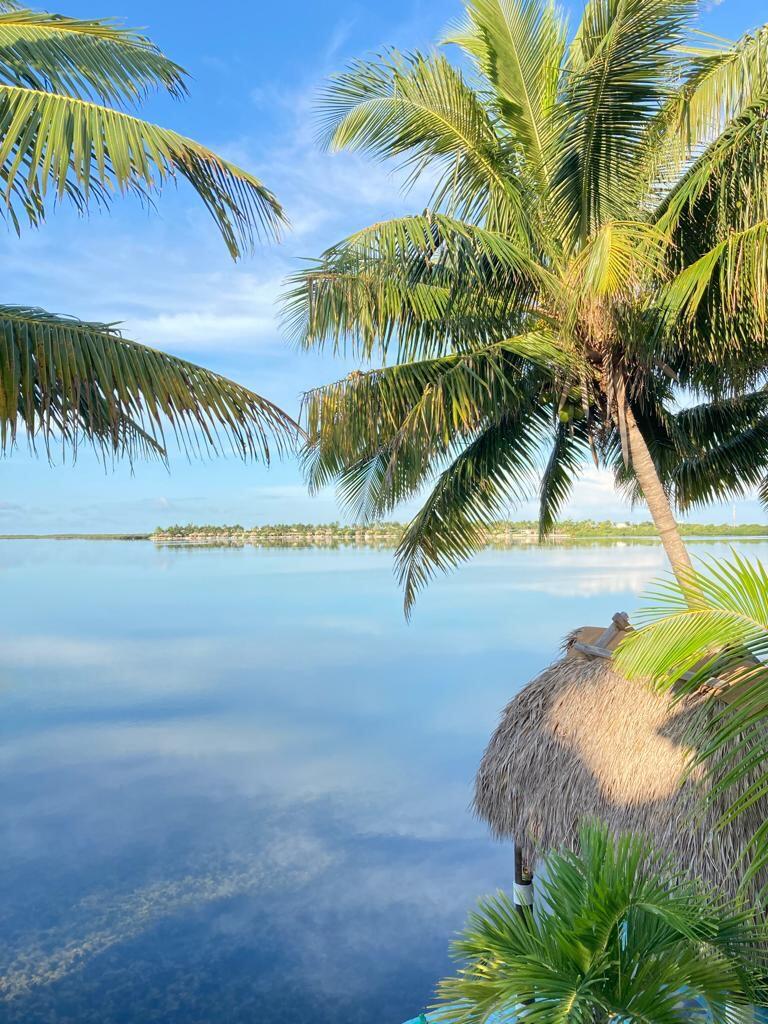 32 Beach Drive Key West, FL 33040 - Photo 28 of 33 a view of a lake and a yard