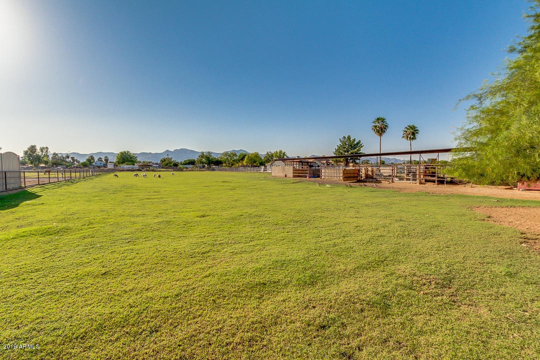 6426 North Citrus Road Waddell, AZ 85355 - Photo 42 of 61 44- Citrus