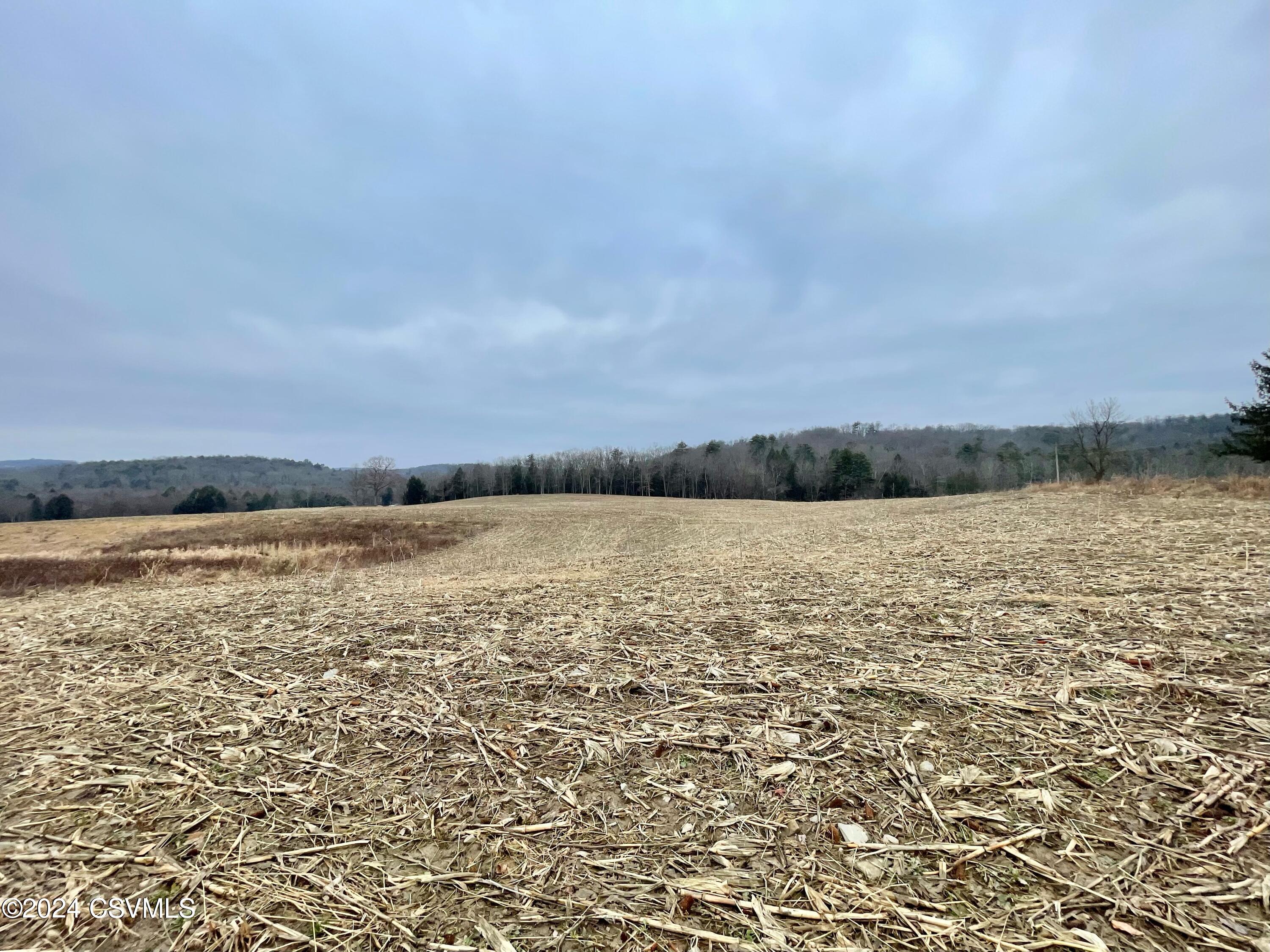 Bonnieville Road Benton, PA 17814 - Photo 3 of 4