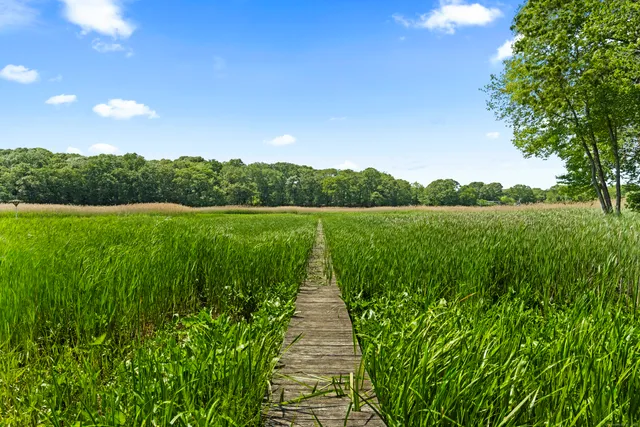 a view of park with river